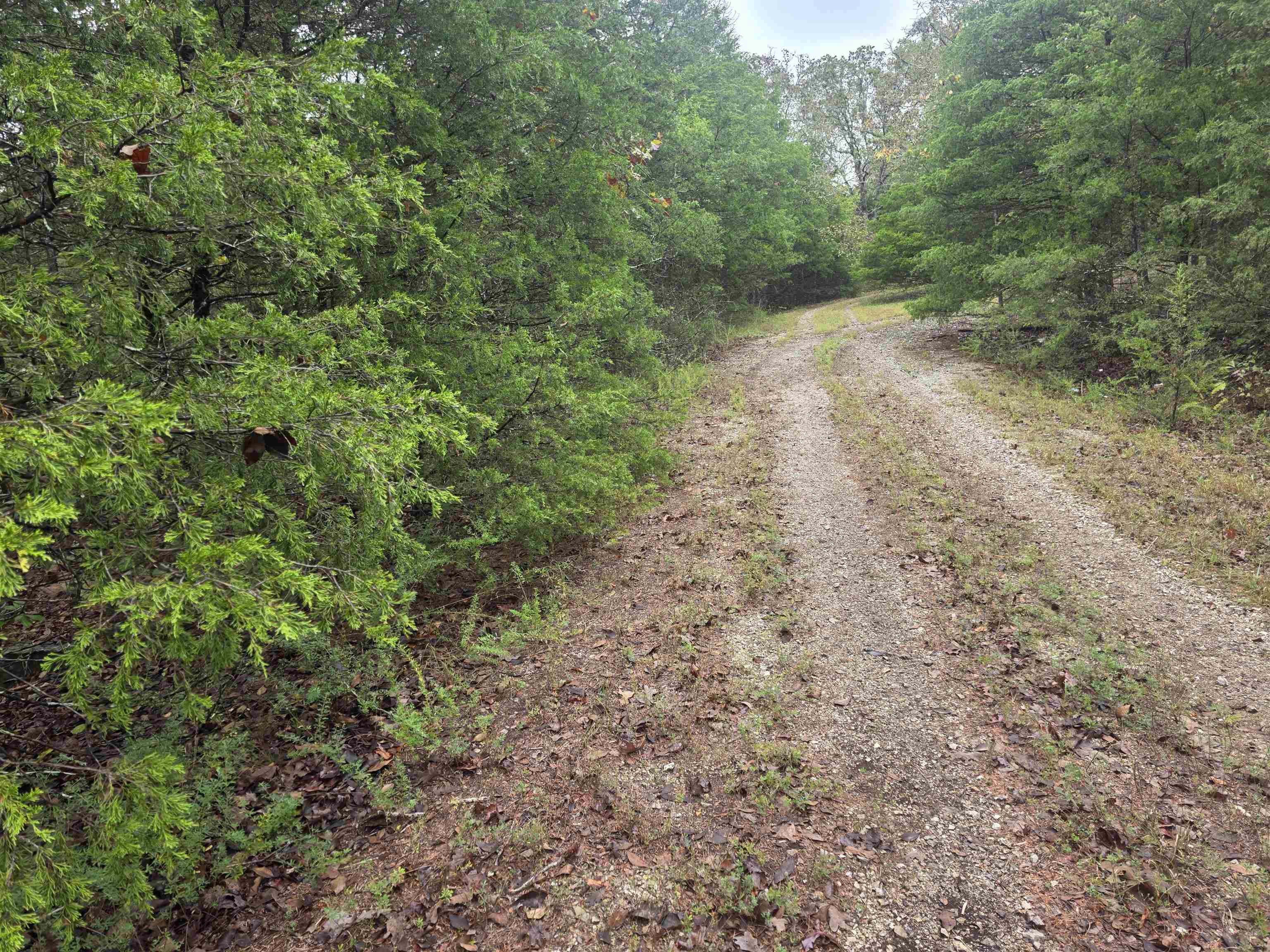 L-9, B-3 Yunsawi Trace Property Photo 10