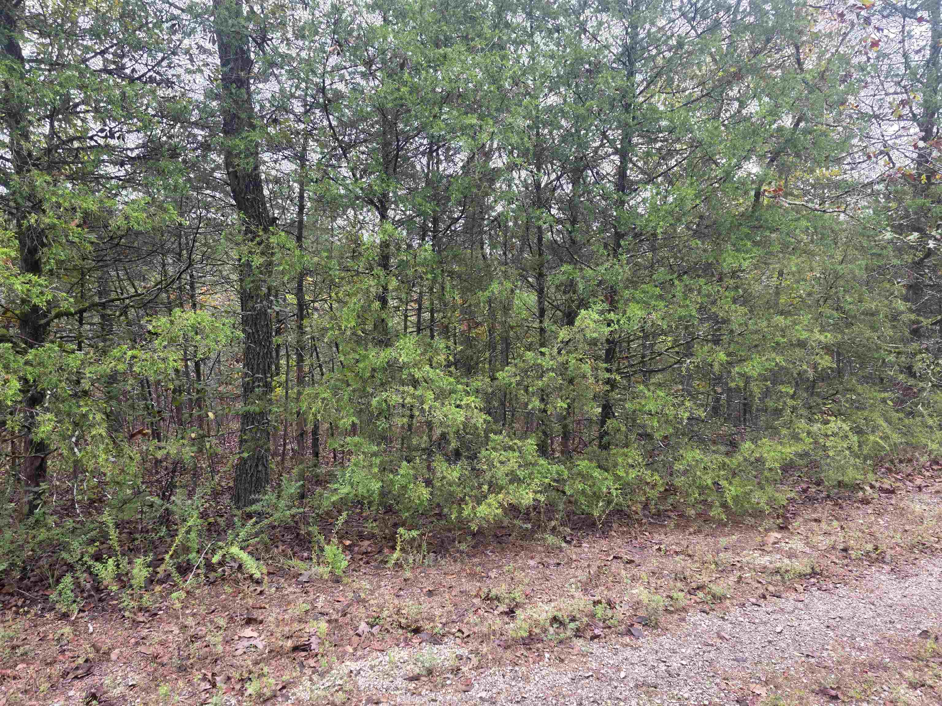 L-9, B-3 Yunsawi Trace Property Photo 11
