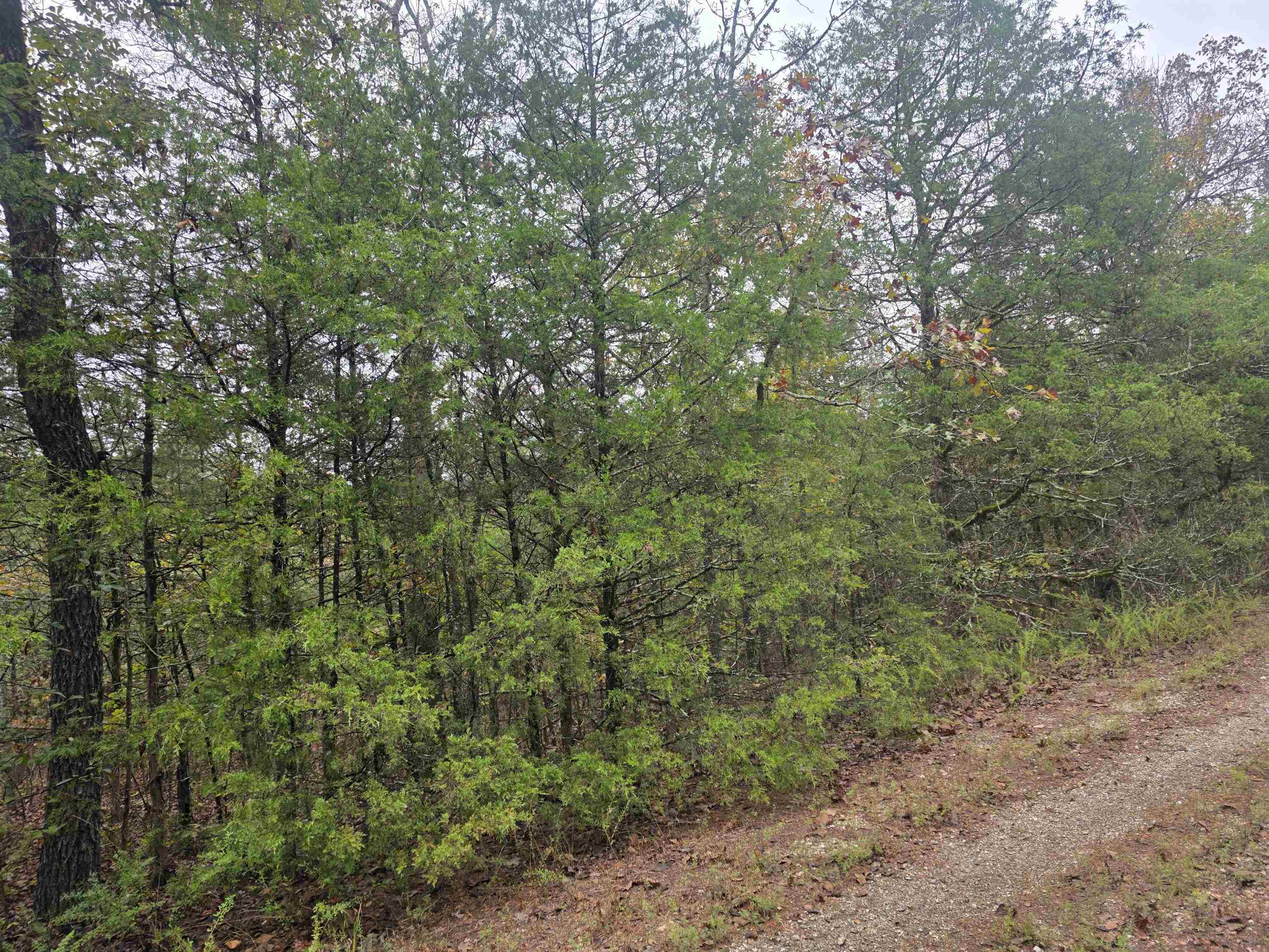 L-9, B-3 Yunsawi Trace Property Photo 13