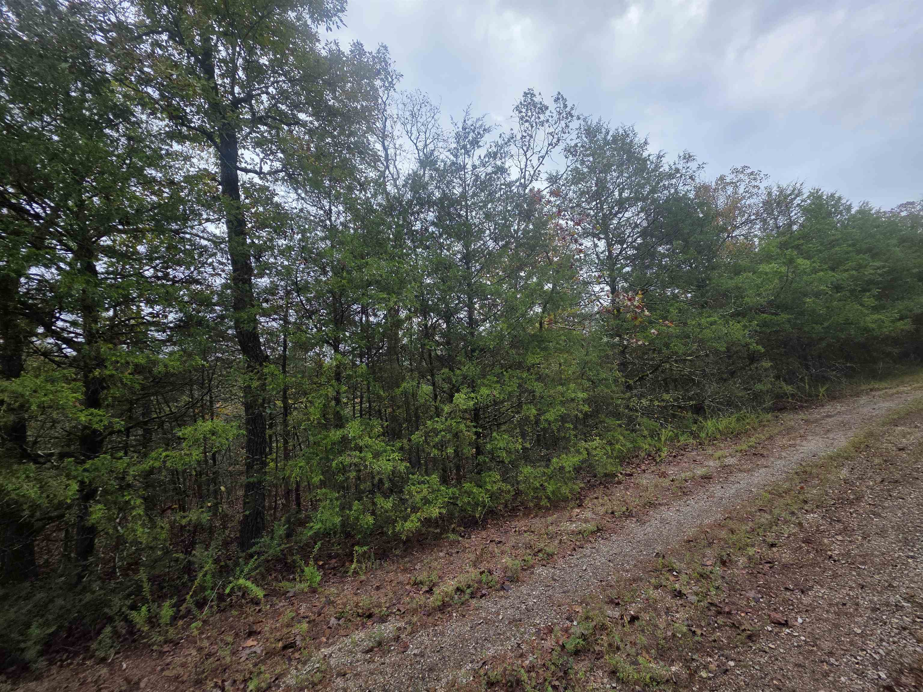 L-9, B-3 Yunsawi Trace Property Photo 14