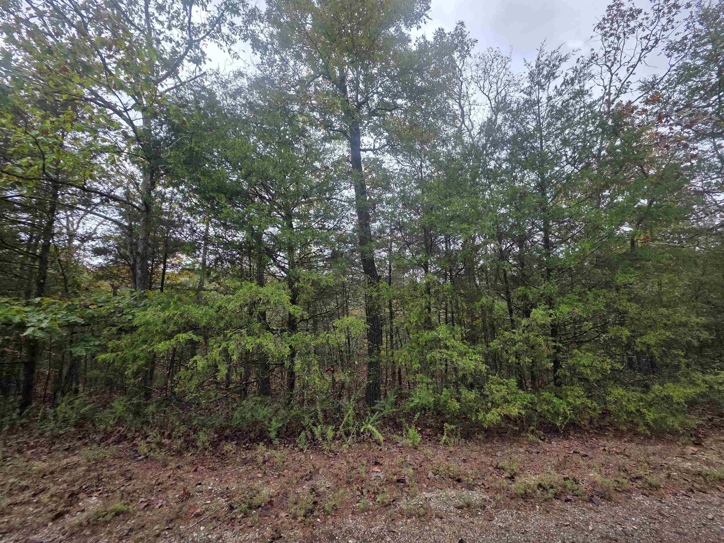 L-9, B-3 Yunsawi Trace Property Photo 15