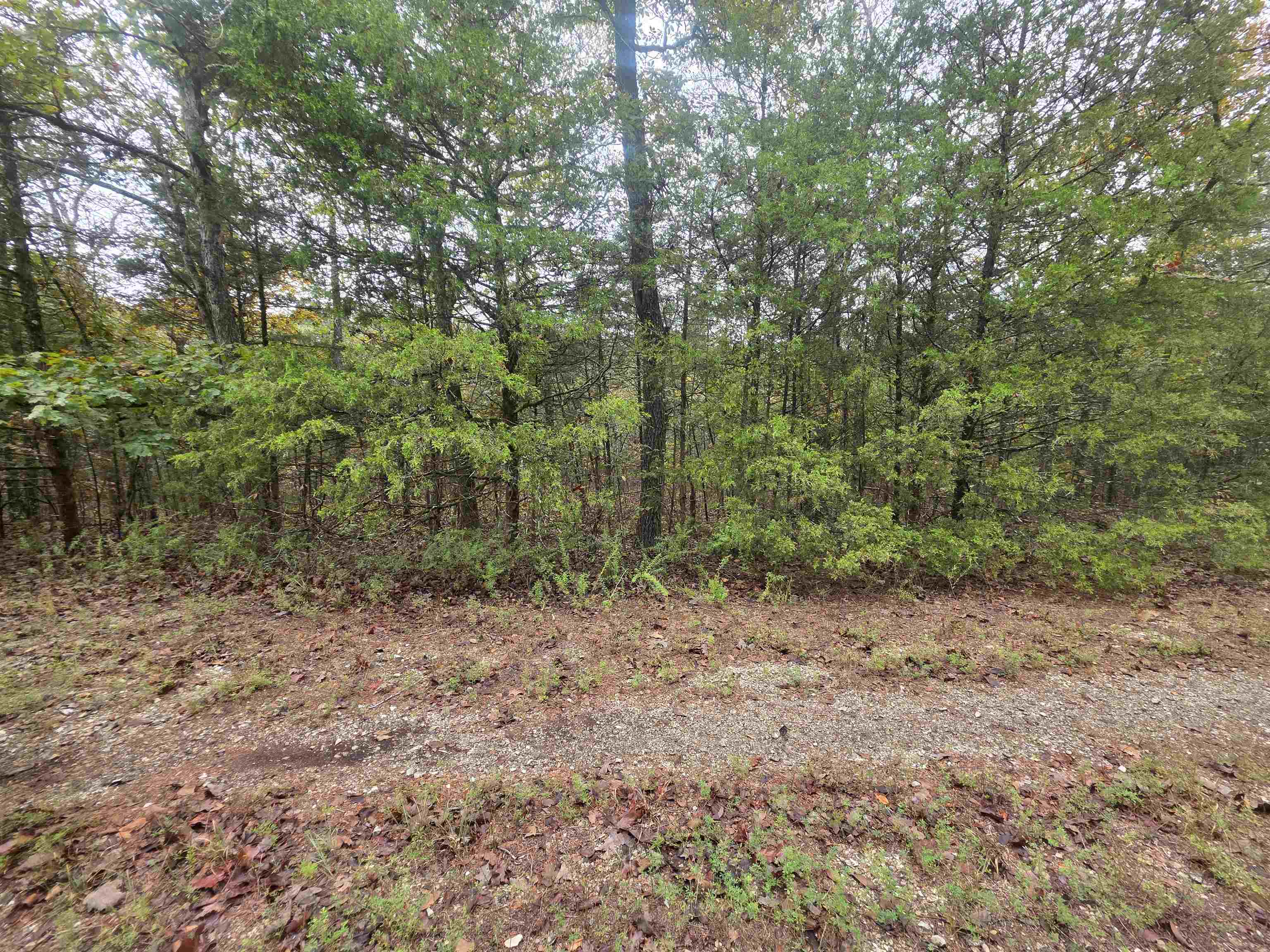L-9, B-3 Yunsawi Trace Property Photo 16
