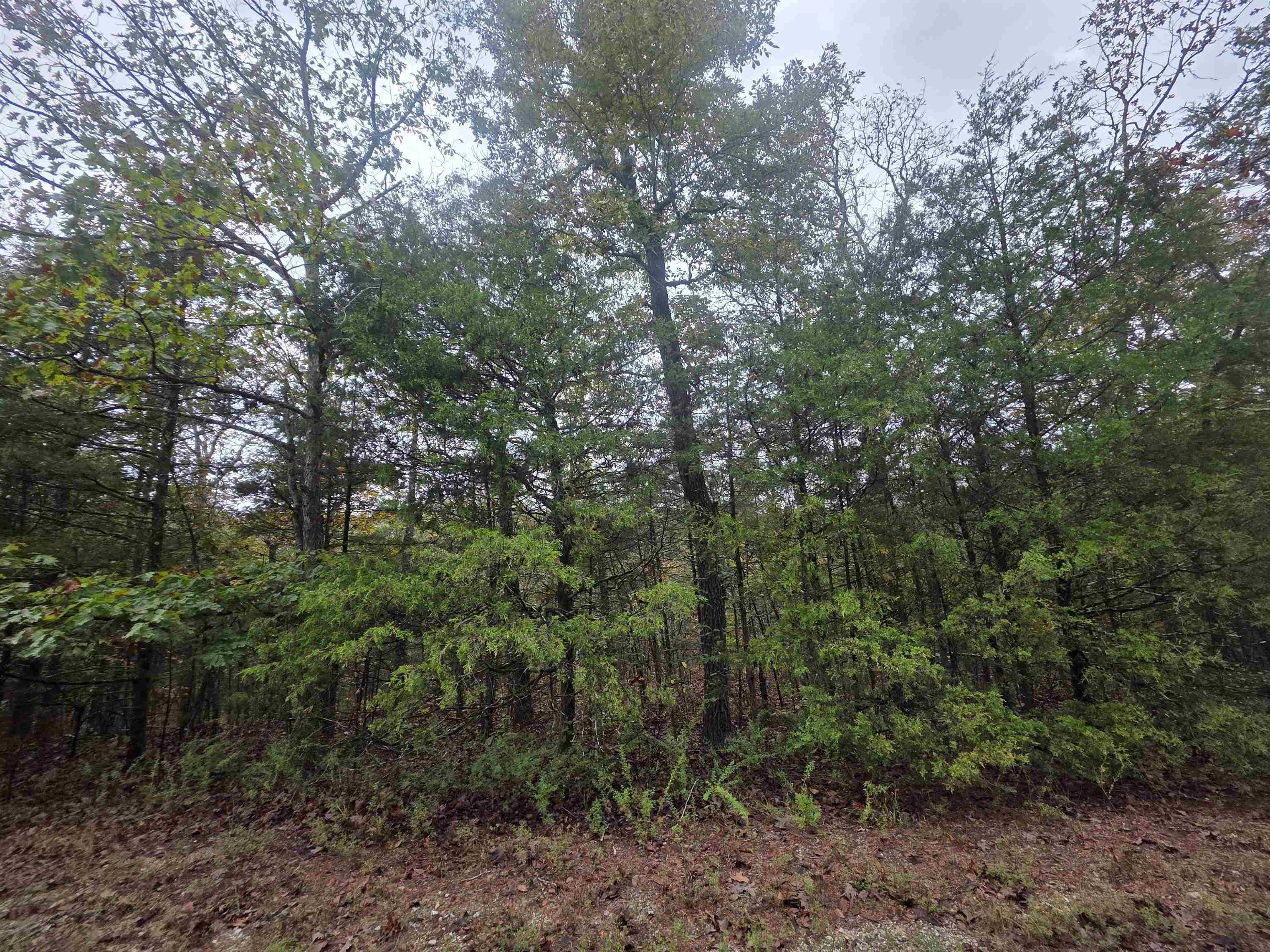 L-9, B-3 Yunsawi Trace Property Photo 17