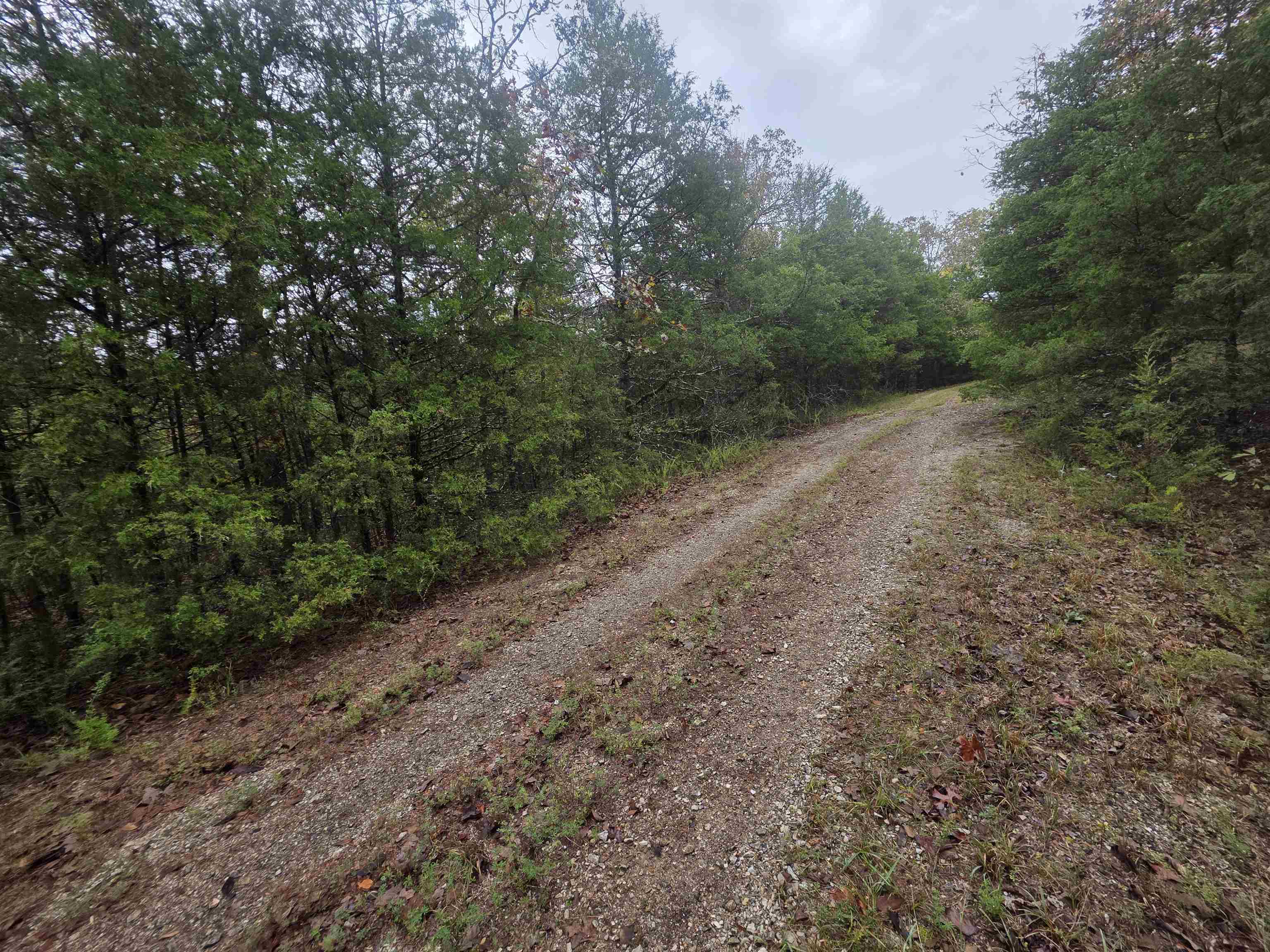 L-9, B-3 Yunsawi Trace Property Photo 18