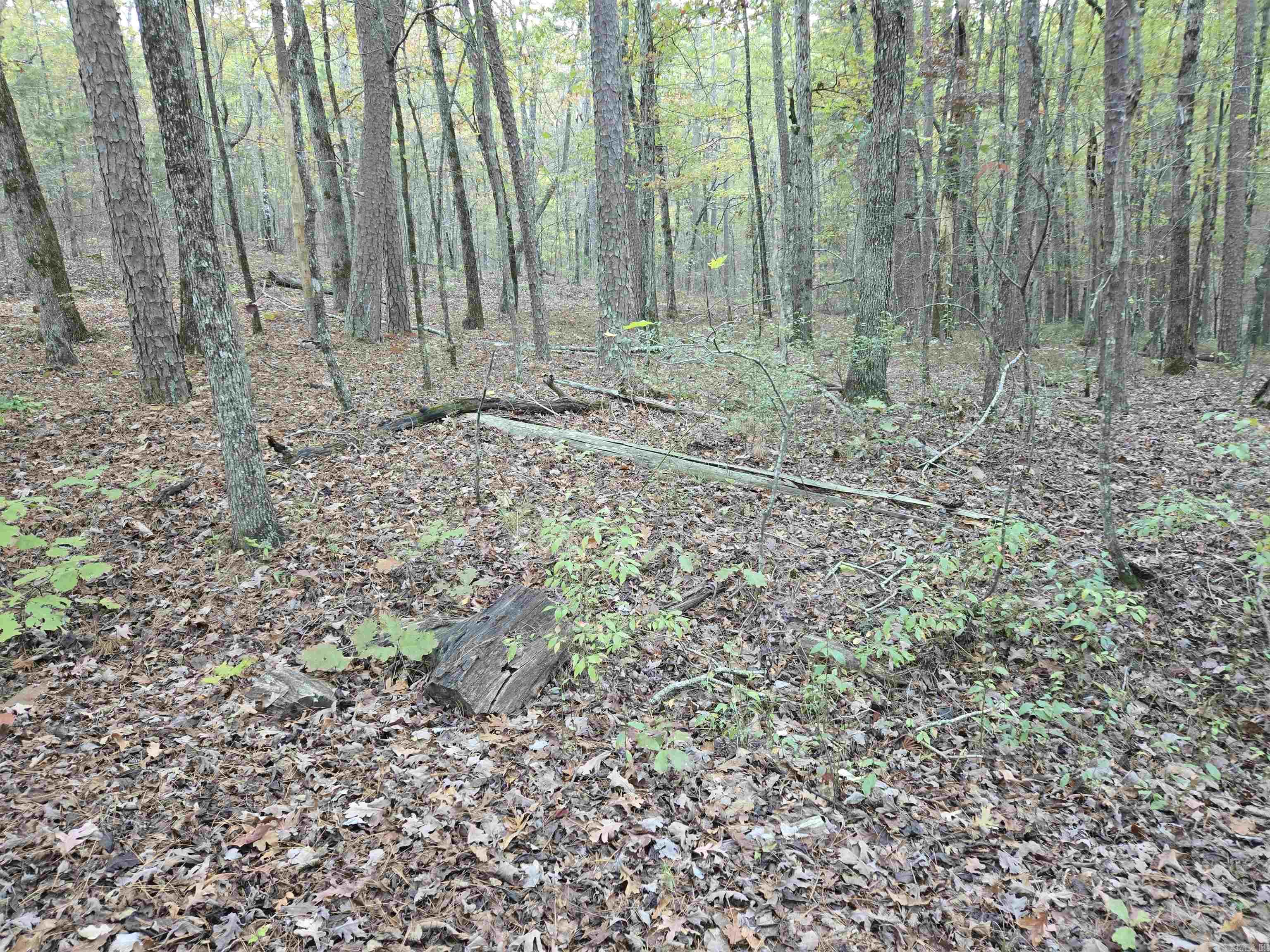 43 Velazquez Lane Property Photo 1