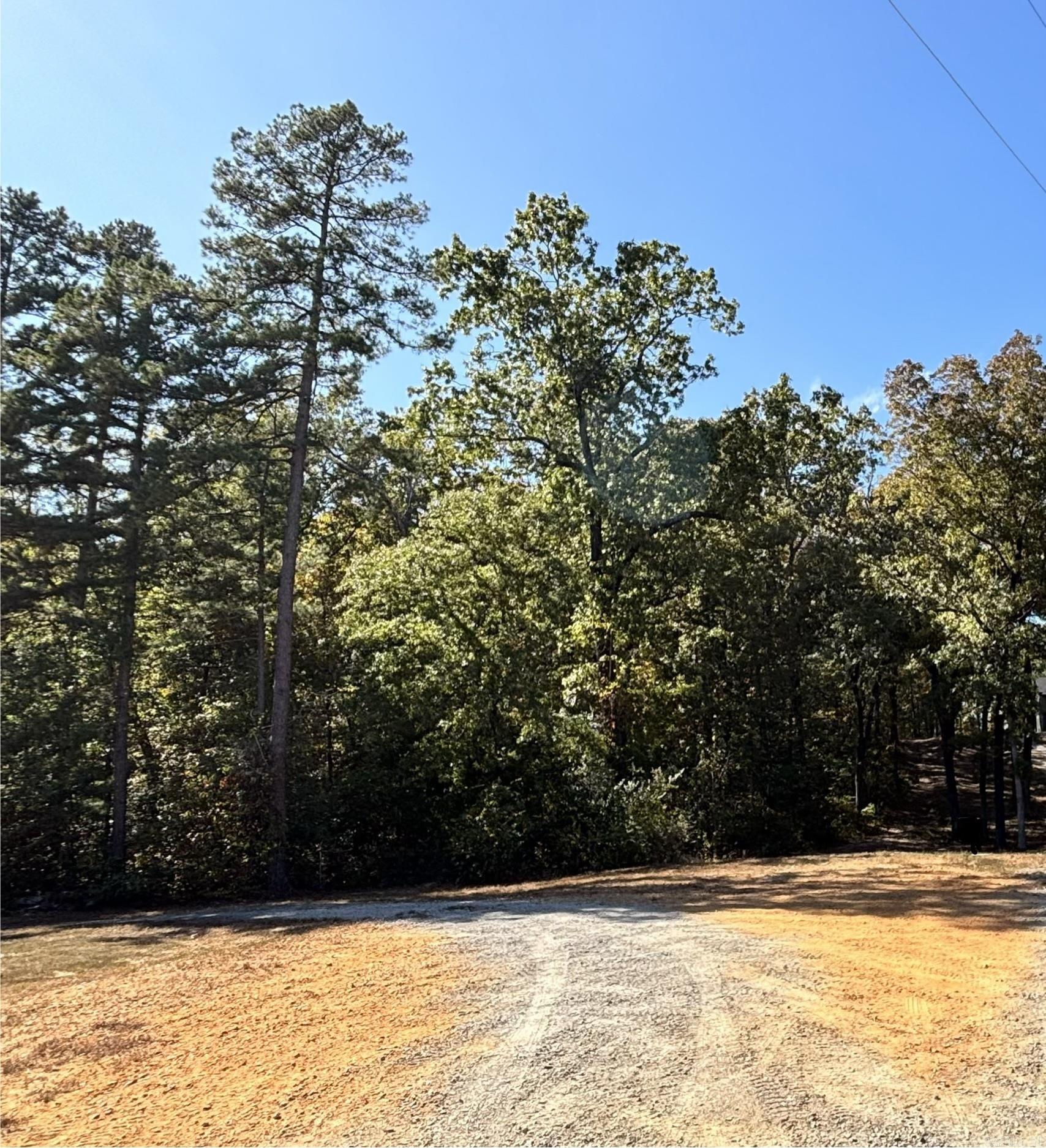 000 Coy Lane Property Photo 1