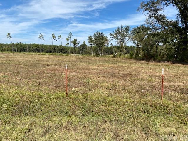 Tbd Hwy 234 Property Photo 5