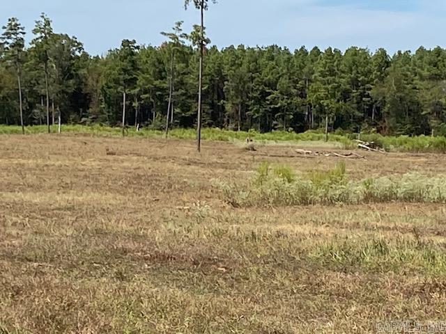 Tbd Hwy 234 Property Photo 8
