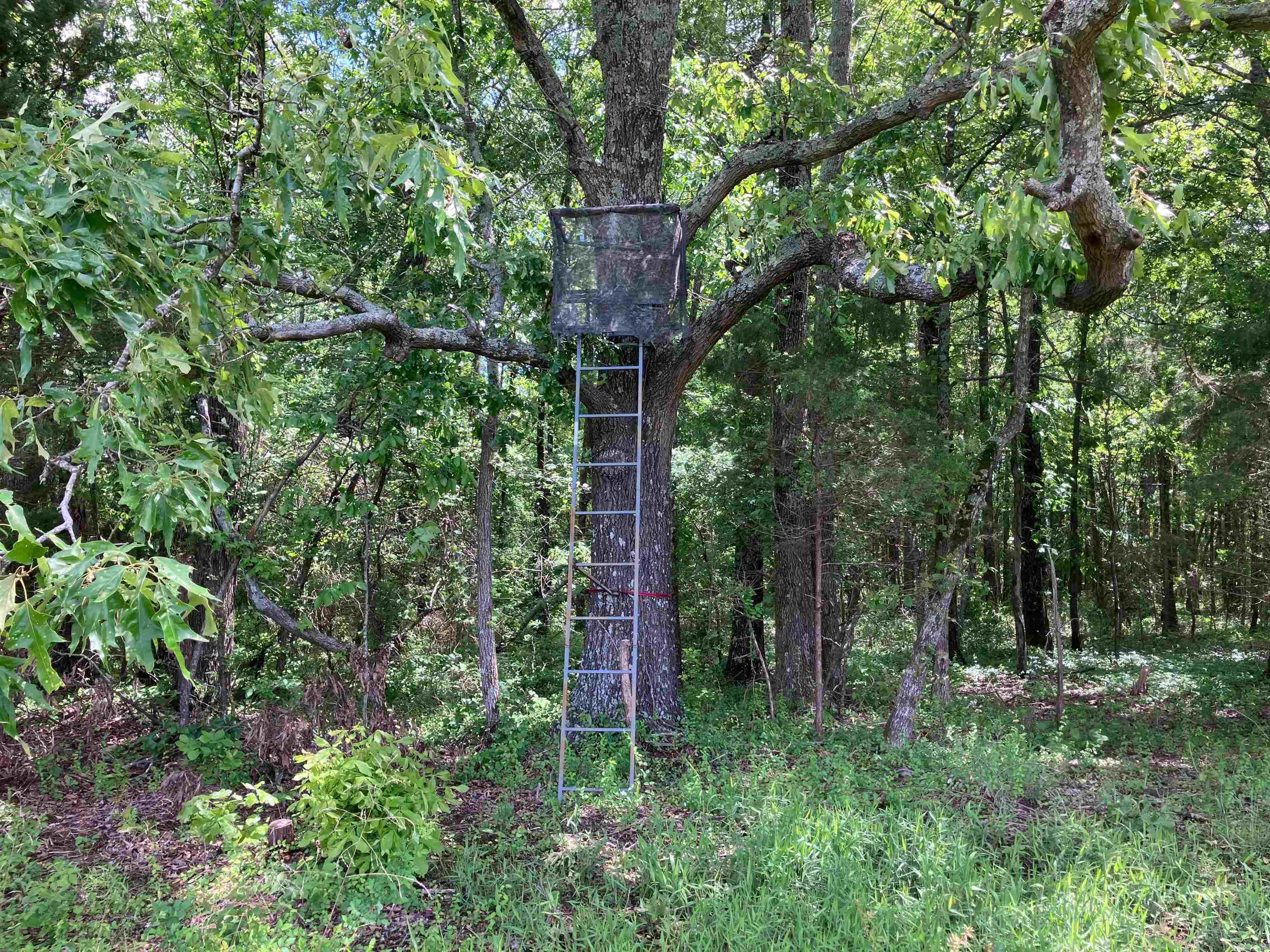 001 Hwy 167 Property Photo 2