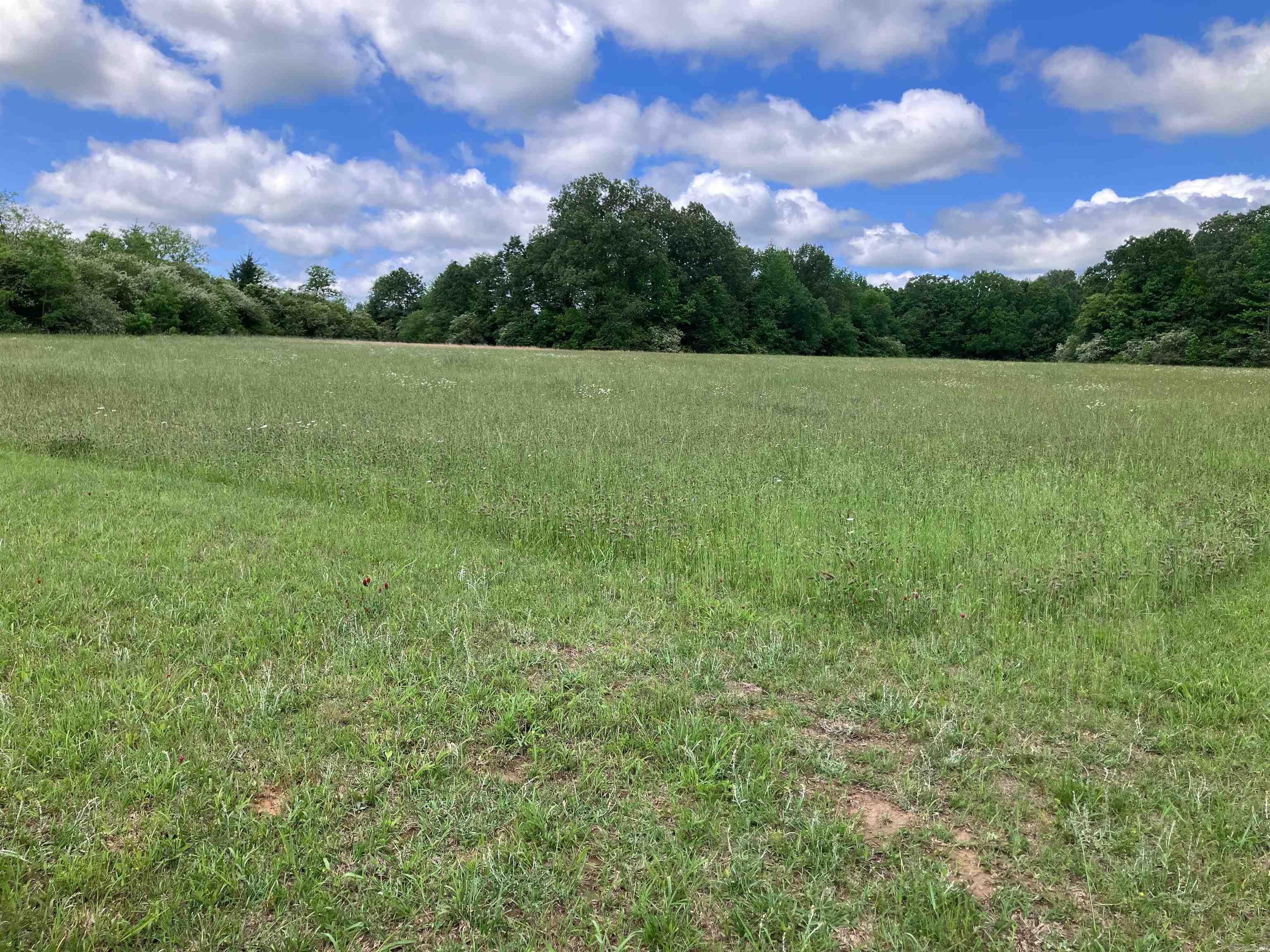 001 Hwy 167 Property Photo 3