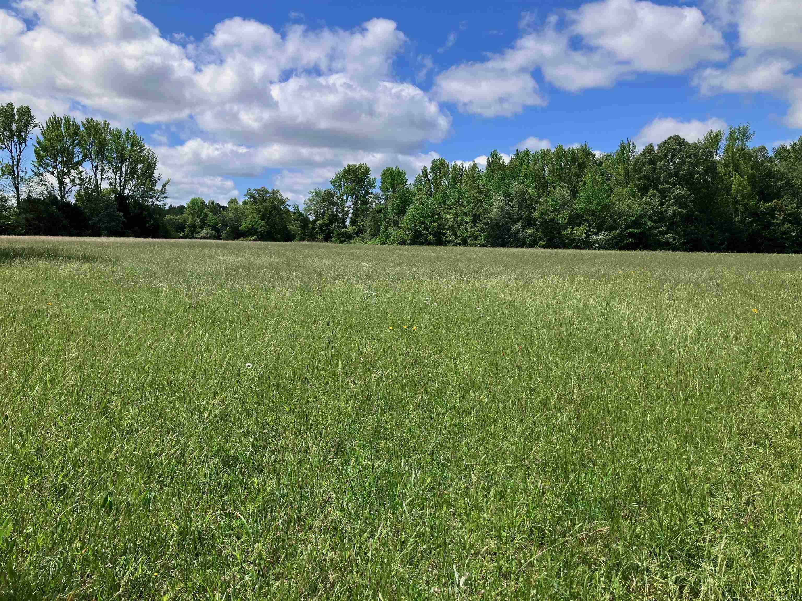 001 Hwy 167 Property Photo 5