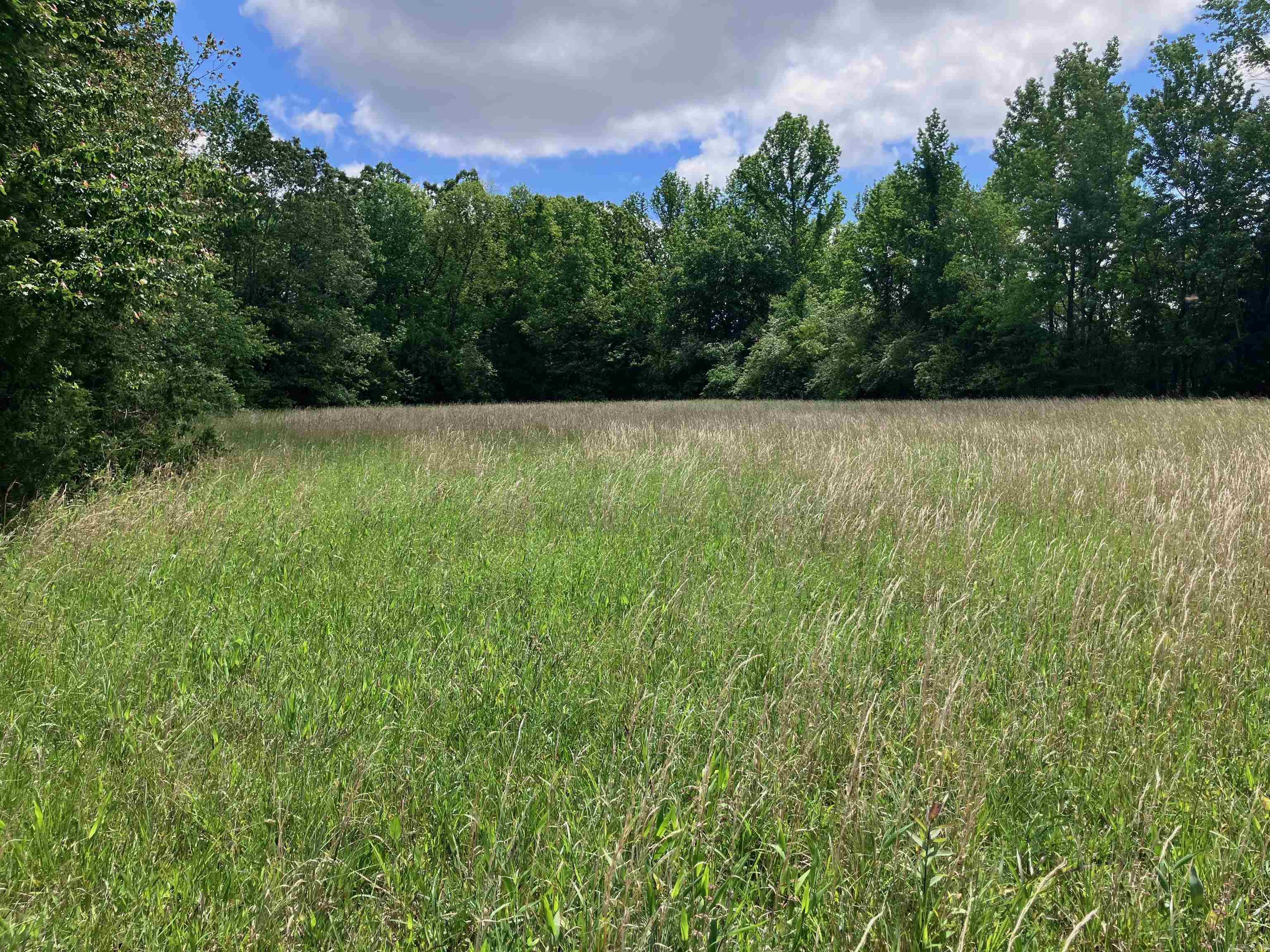 001 Hwy 167 Property Photo 6