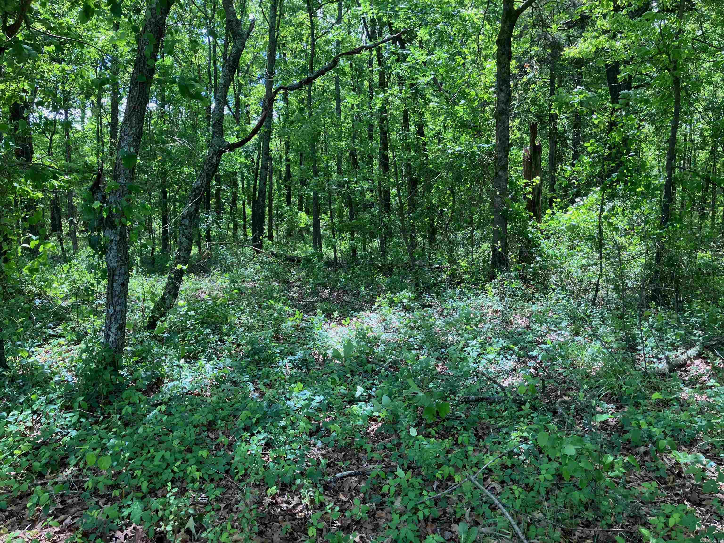 001 Hwy 167 Property Photo 13