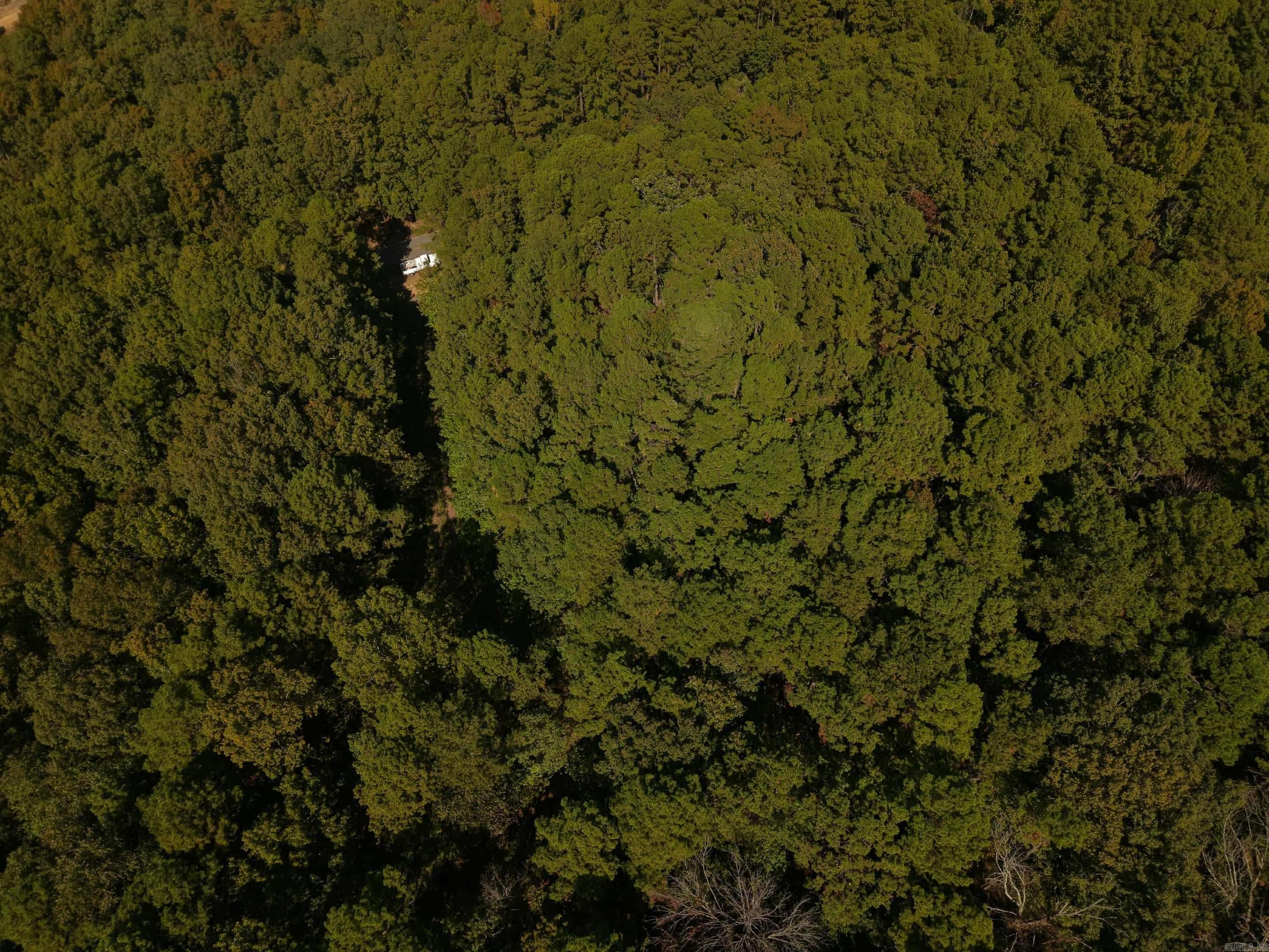 +/-.26 Acres Rock Hill Ct Property Photo 4