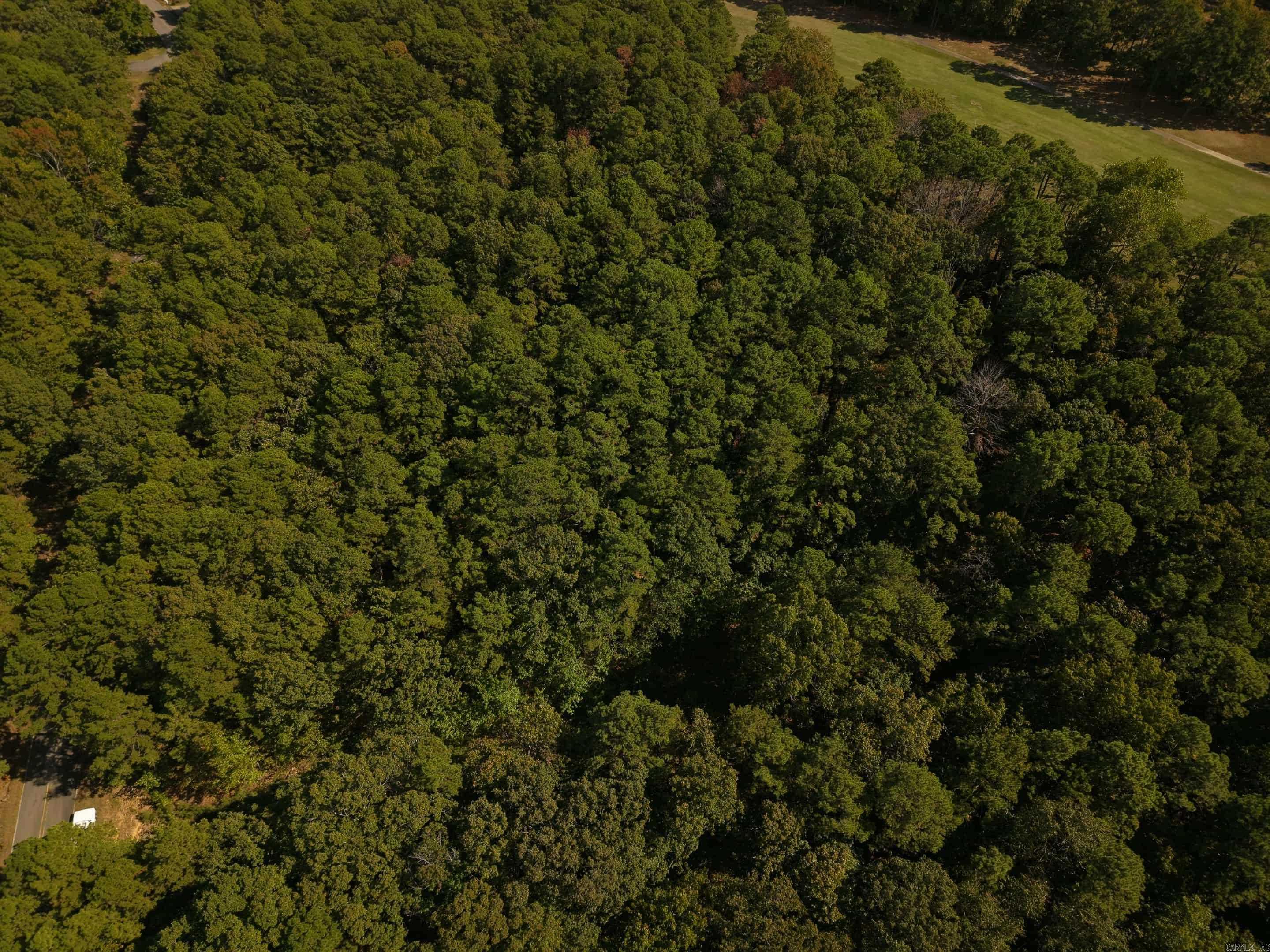 +/-.26 Acres Rock Hill Ct Property Photo 5