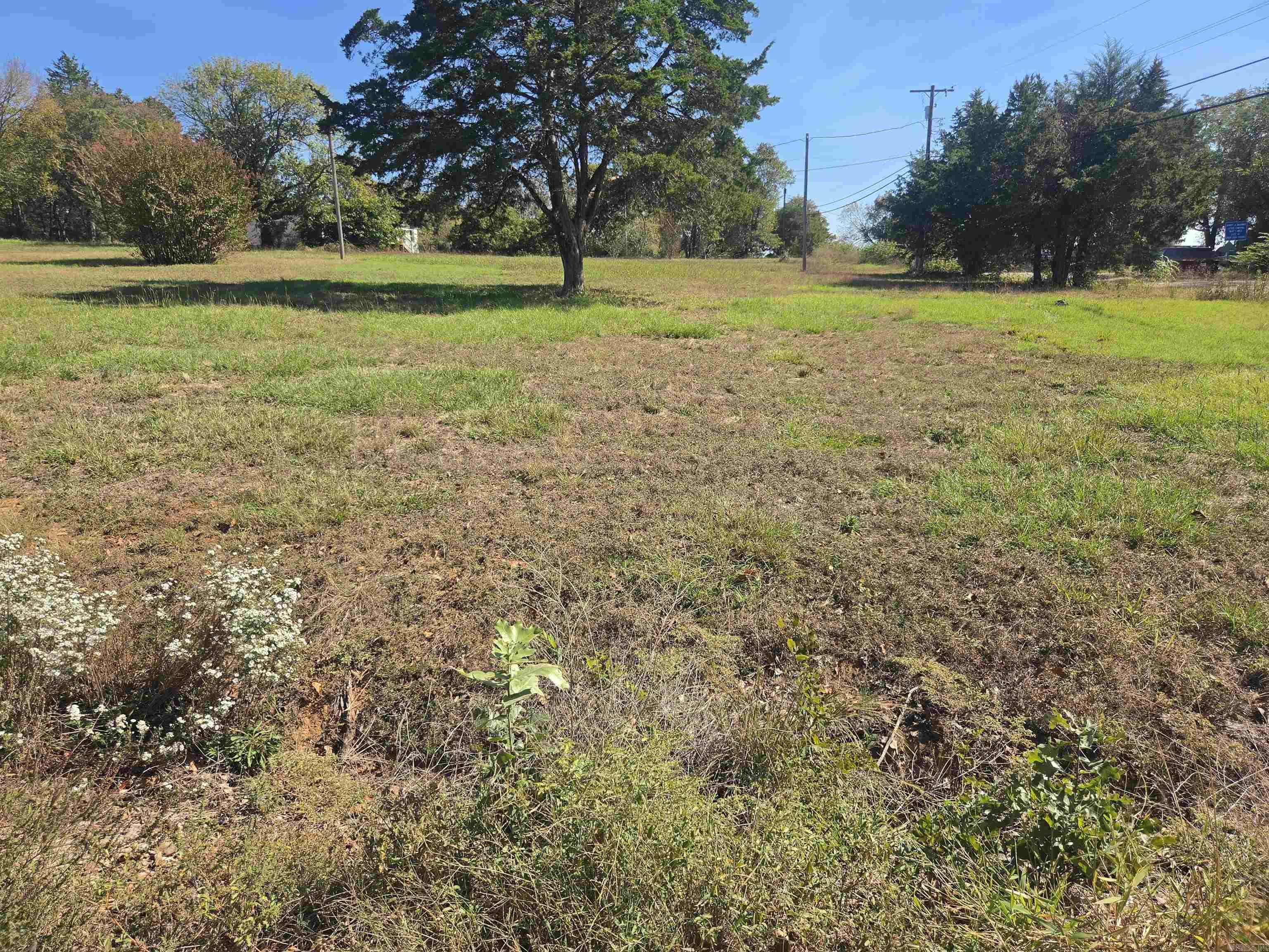 Tract 3 Castleberry Lane Property Photo 5
