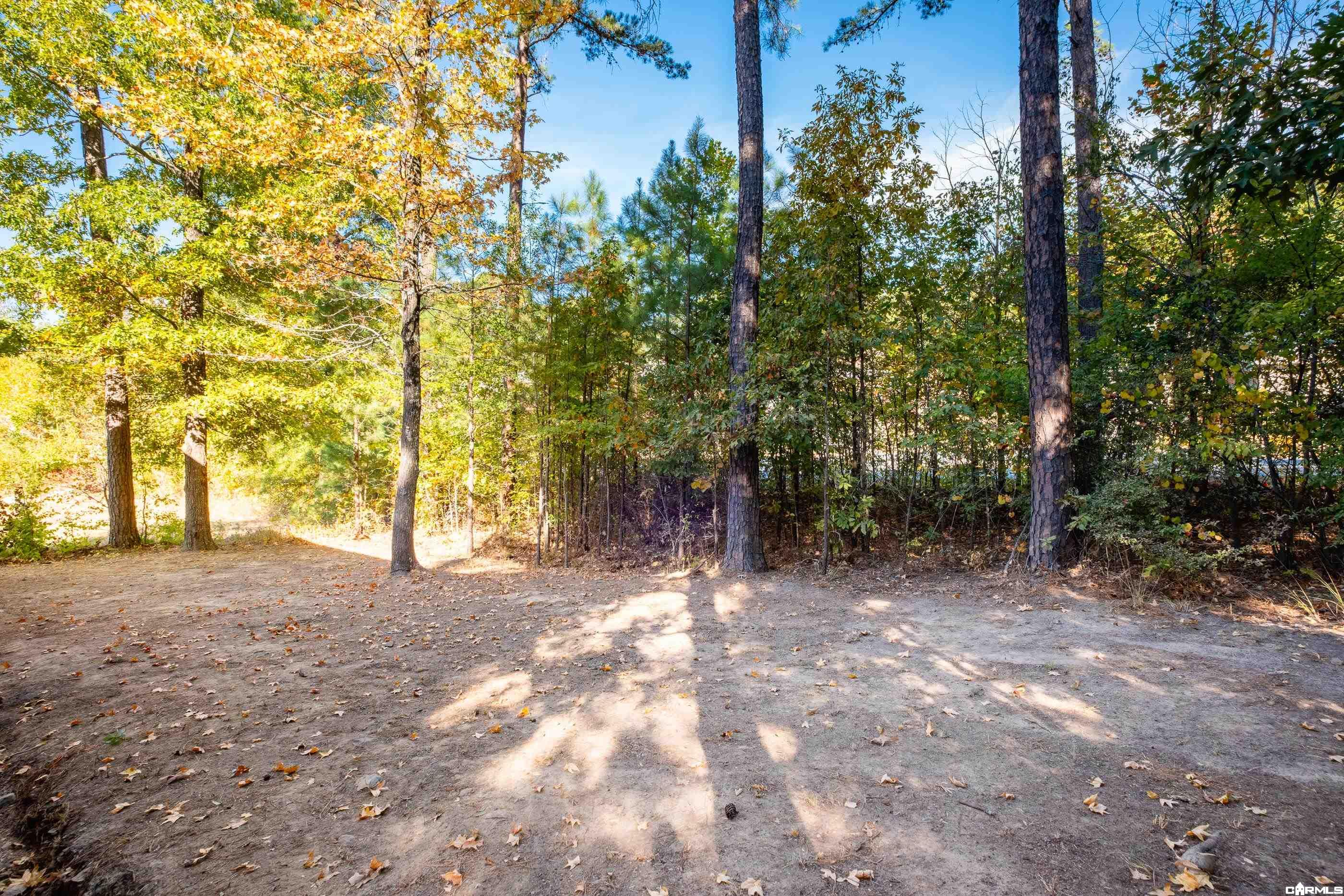 17 Villa Vista Loop Property Photo 47