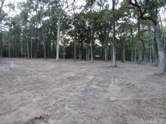 000 Sandhill Property Photo 3