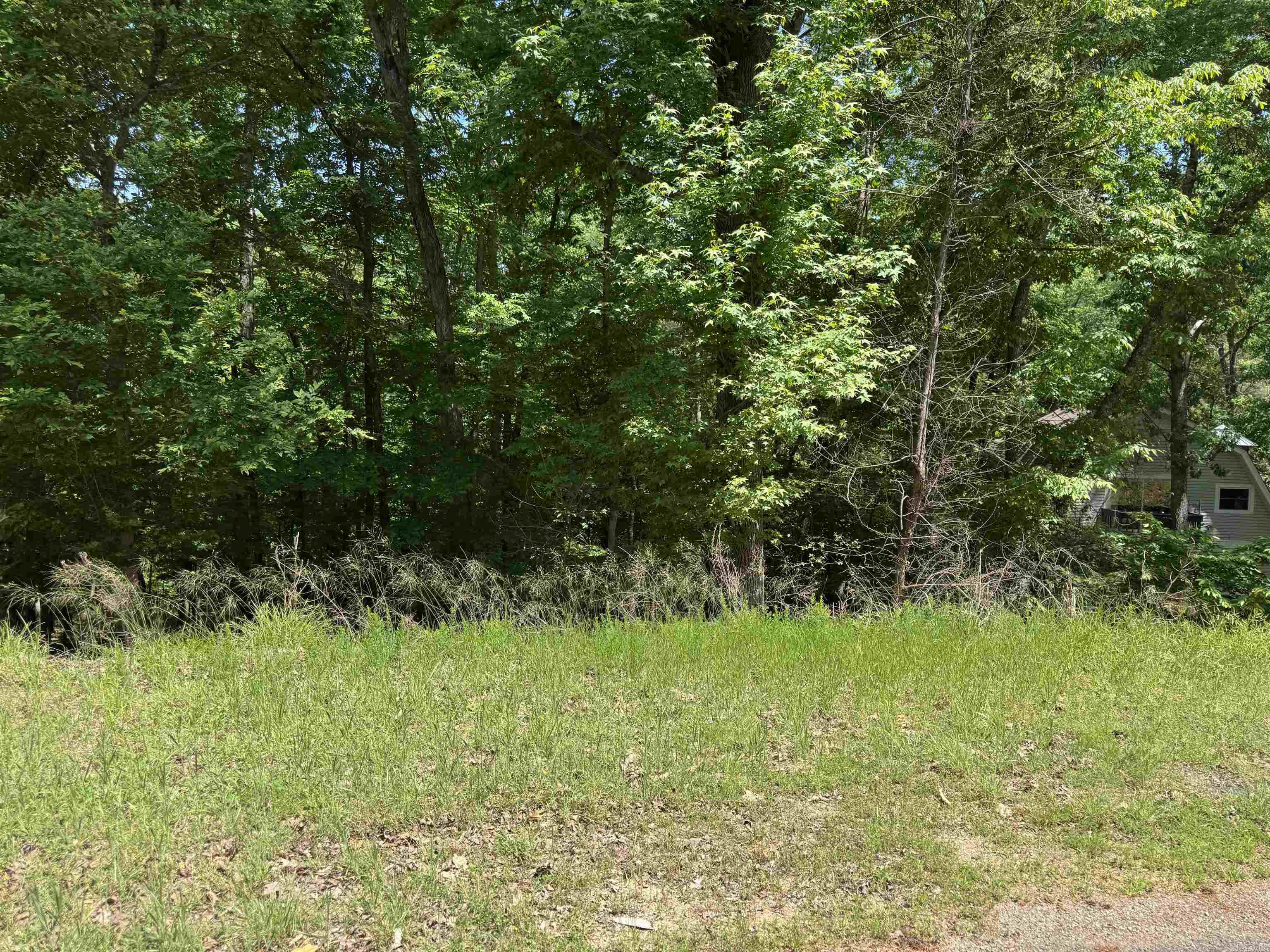 00 Plum Hollow Property Photo 1