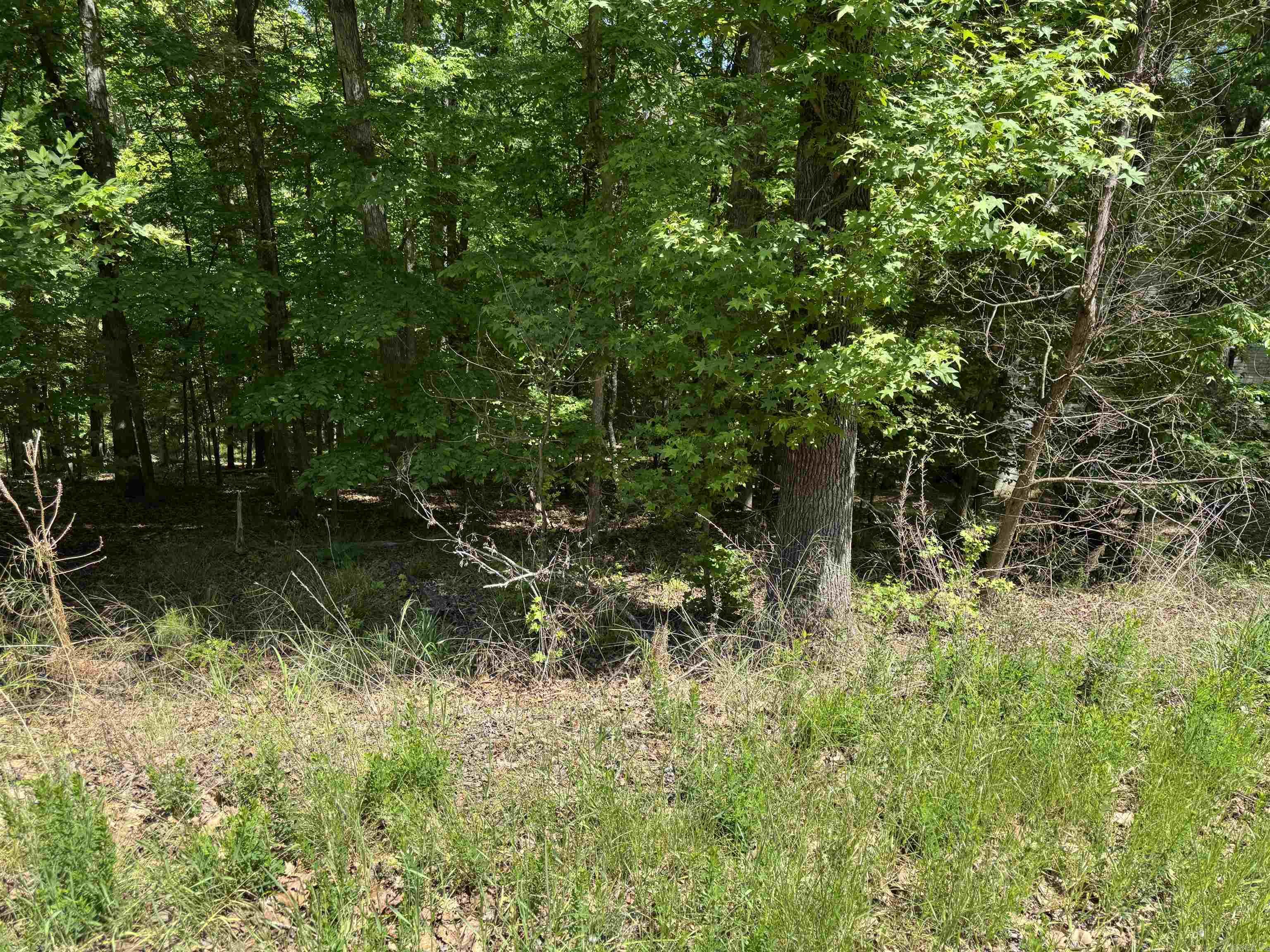 00 Plum Hollow Property Photo 5