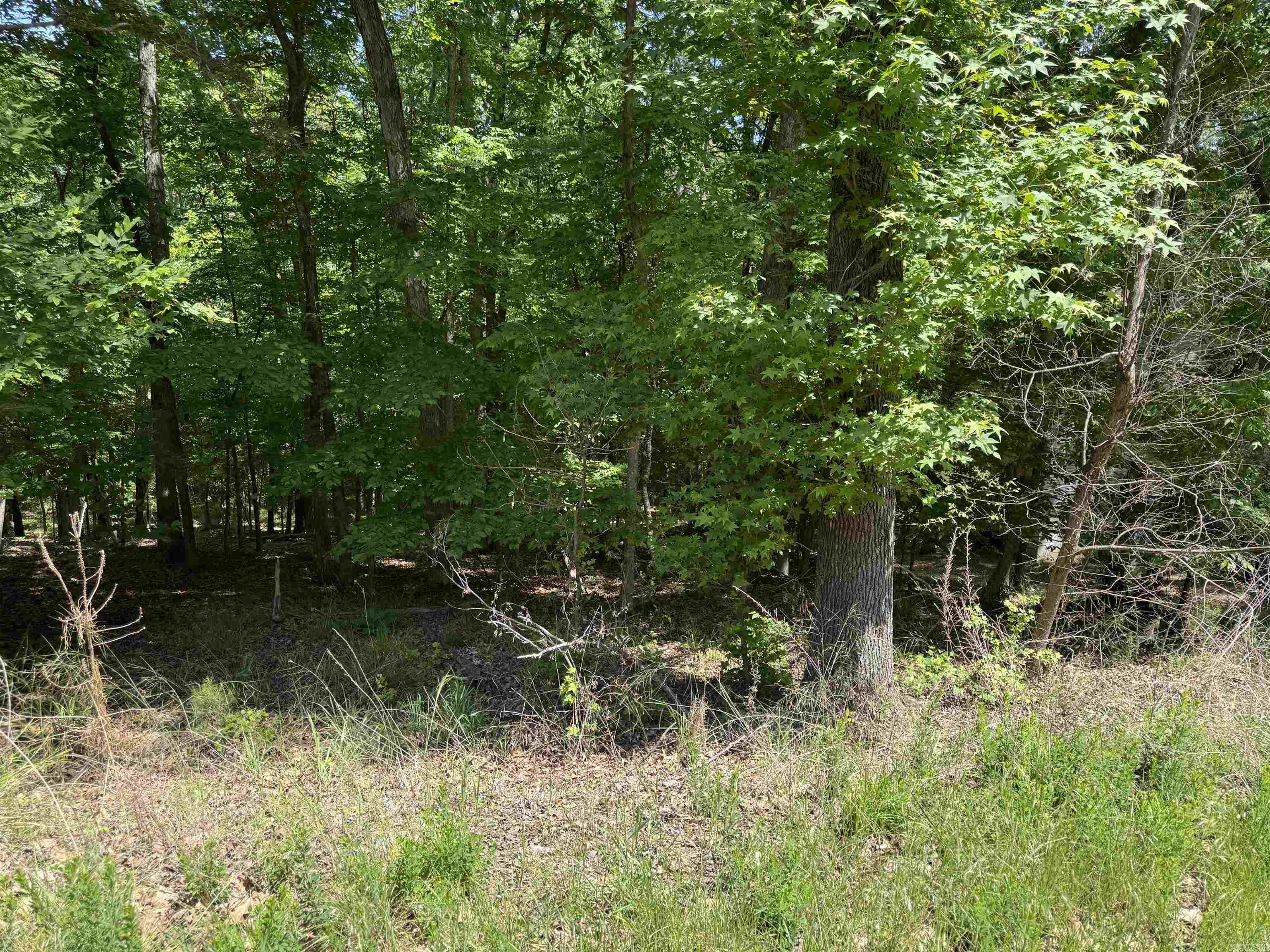 00 Plum Hollow Property Photo 6