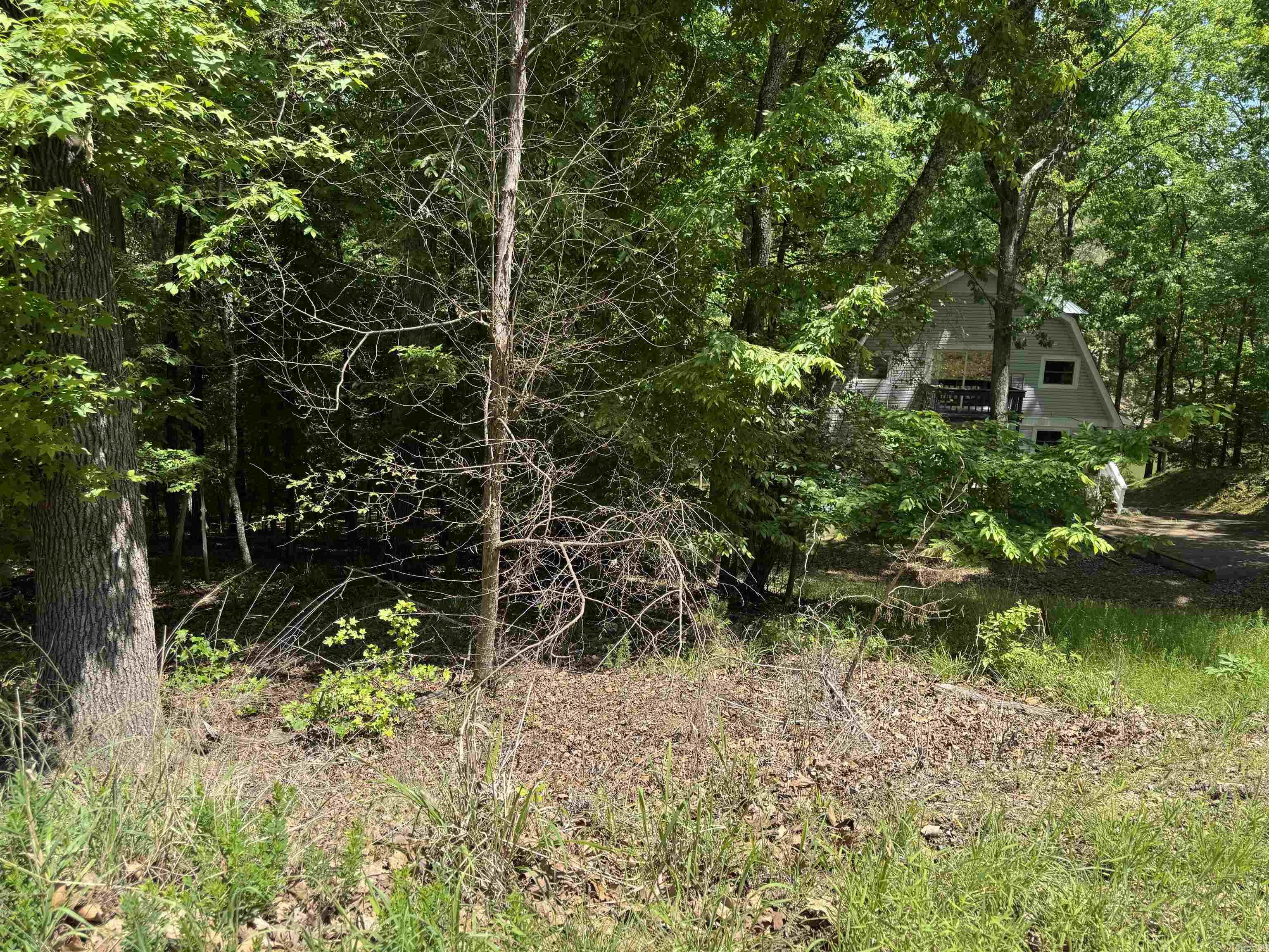 00 Plum Hollow Property Photo 7