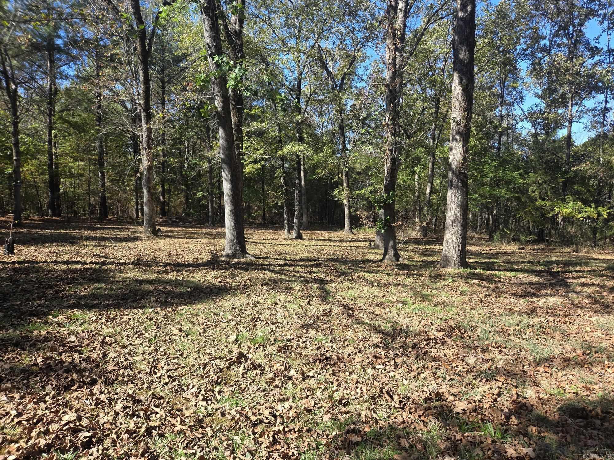 106 Woodland Drive Property Photo 38