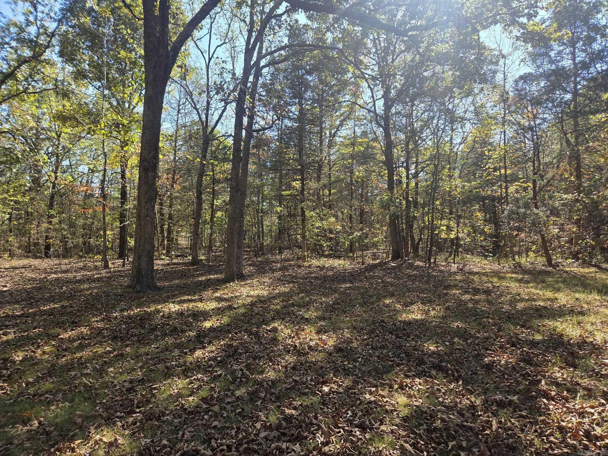 106 Woodland Drive Property Photo 39