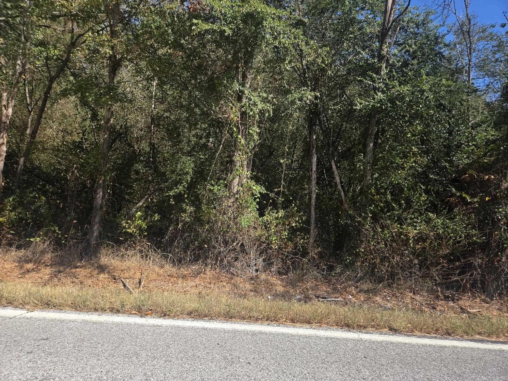 37.17 Acres Off Hwy 157 Property Photo 6