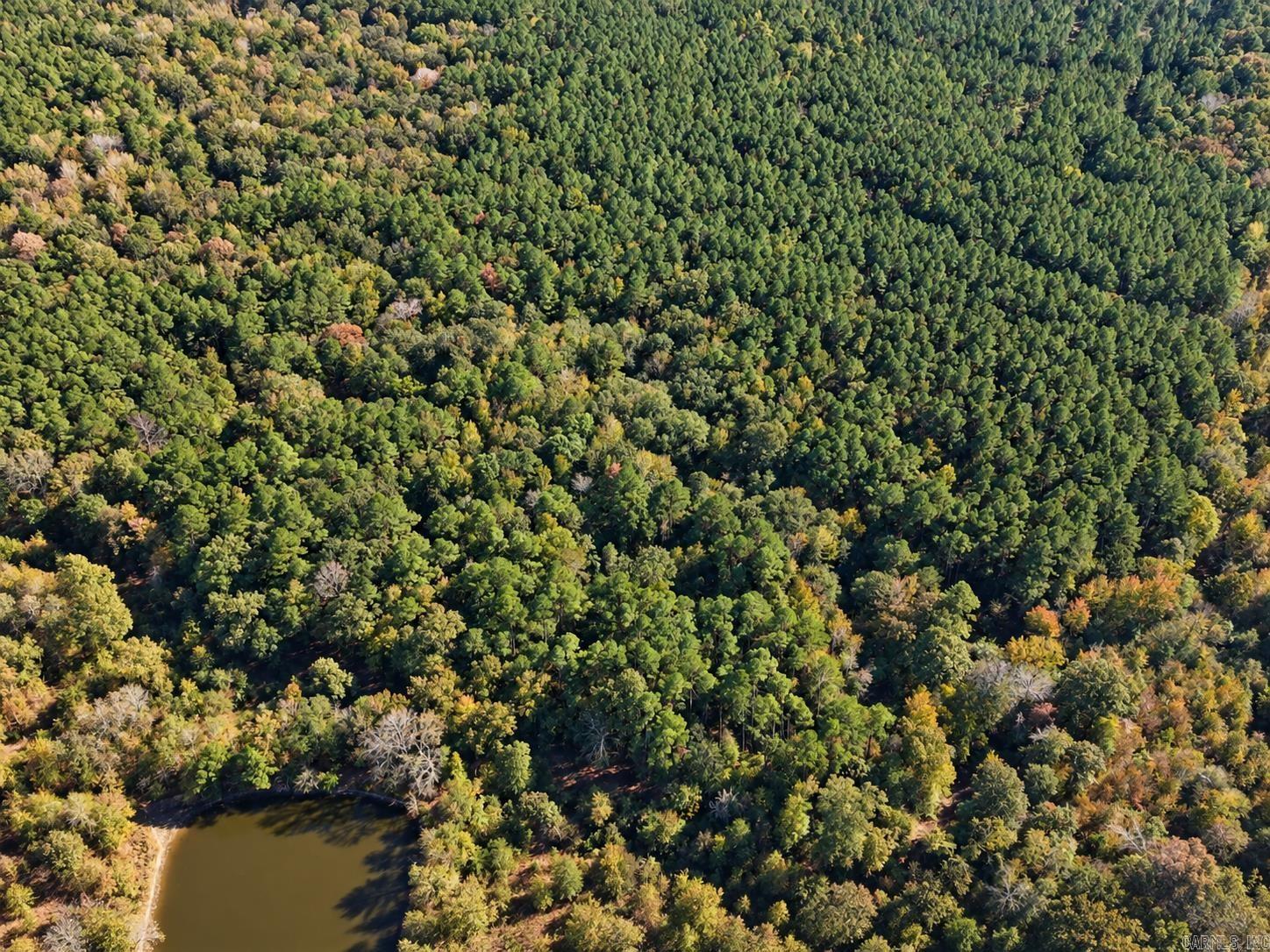 25 Acres 603 Calhoun 63 Property Photo 1