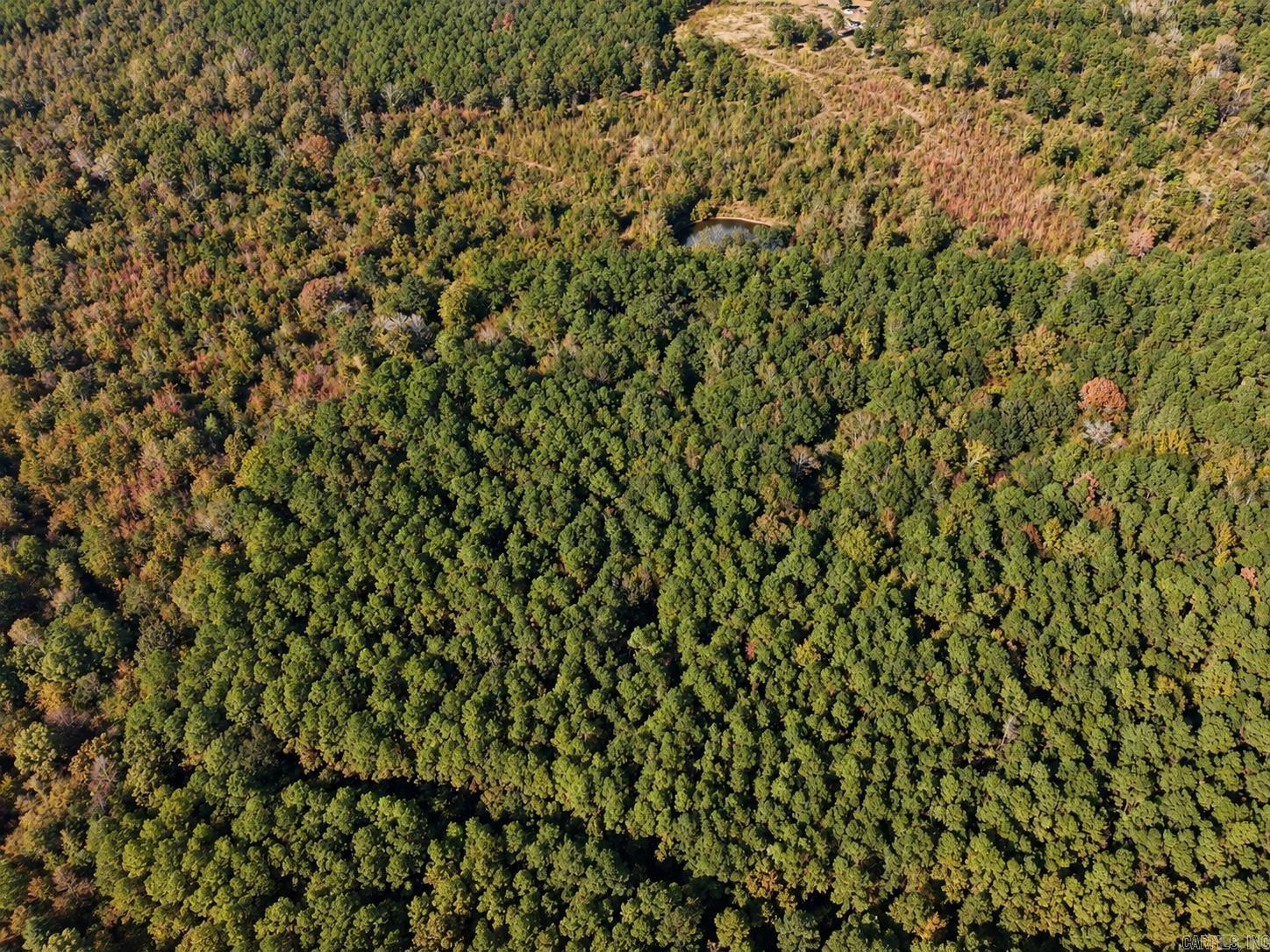 25 Acres 603 Calhoun 63 Property Photo 3