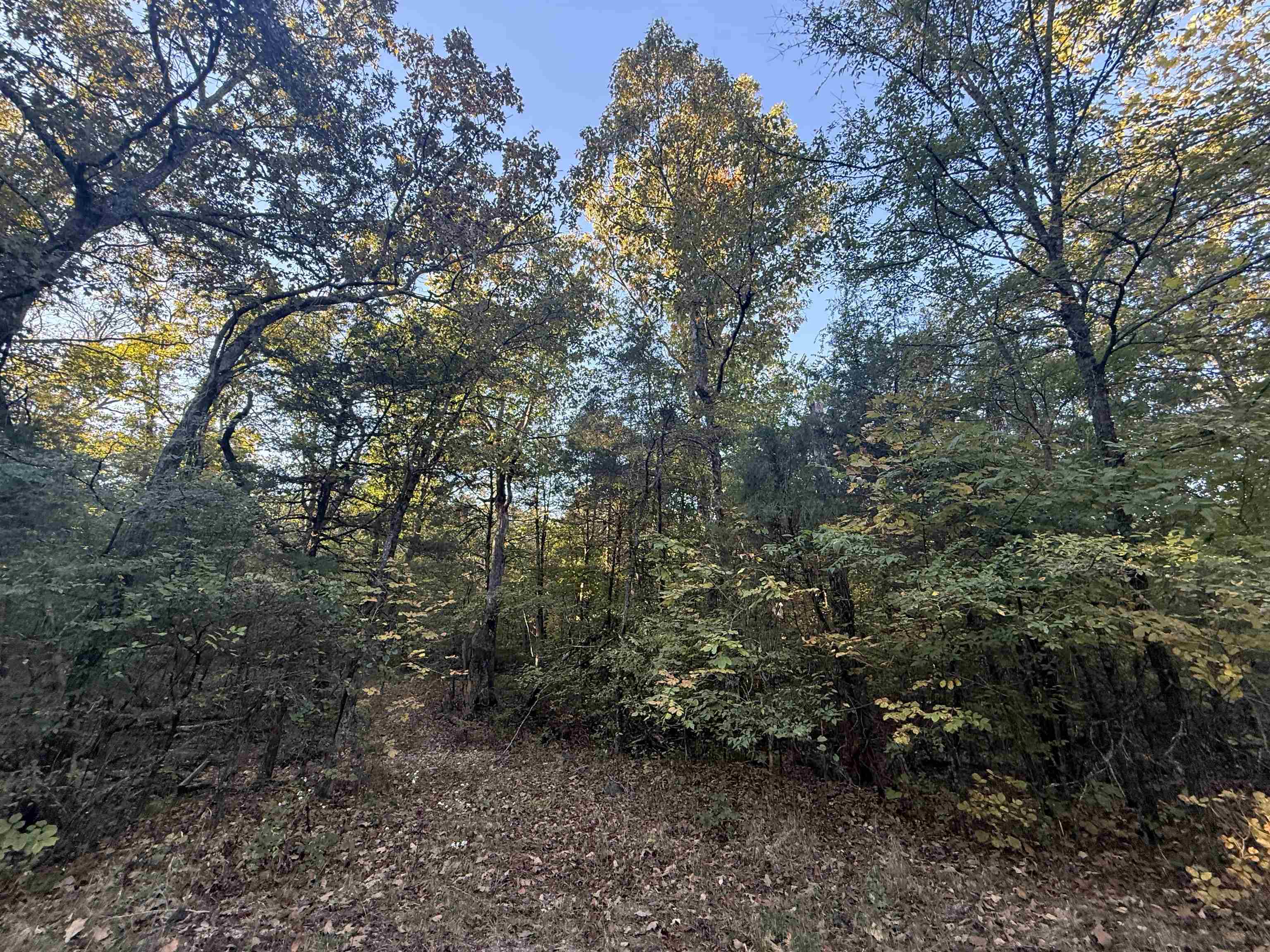Tbd 56 Highway Property Photo 1