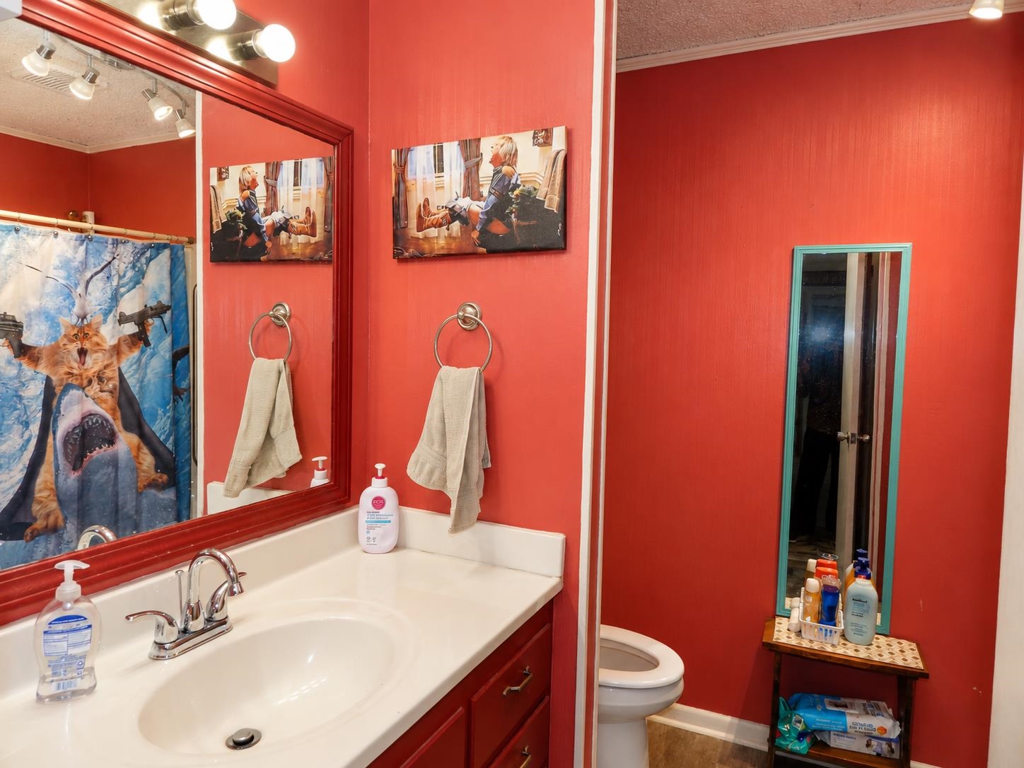 2501 Woodland Bluff Drive Property Photo 18