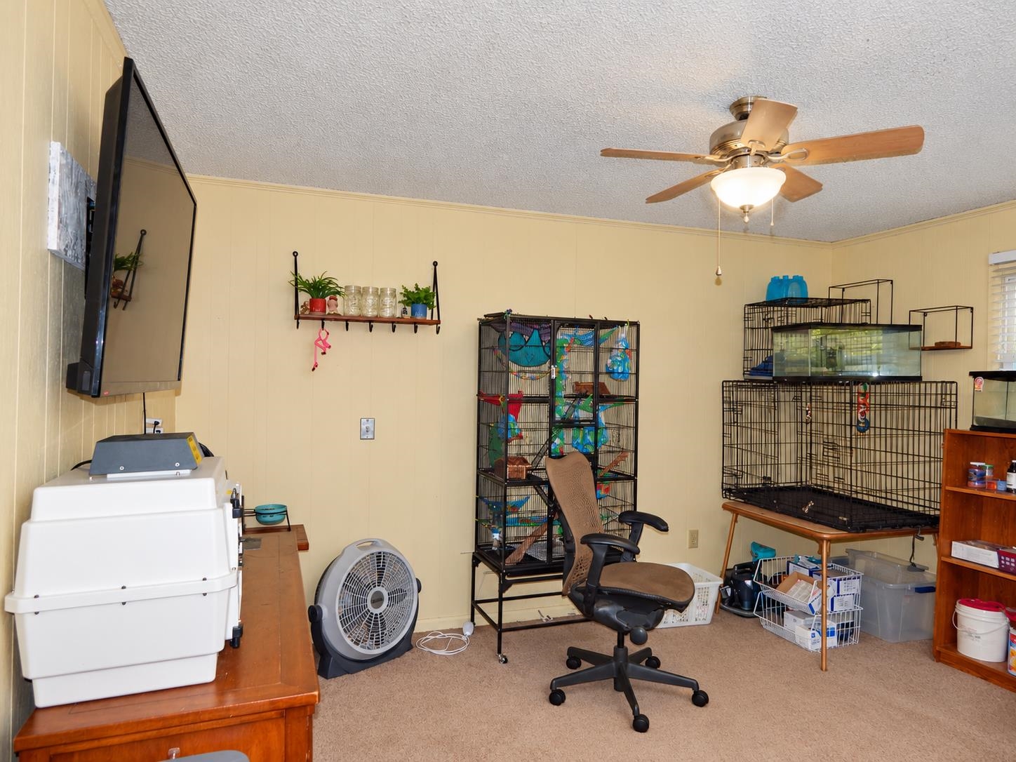 2501 Woodland Bluff Drive Property Photo 23