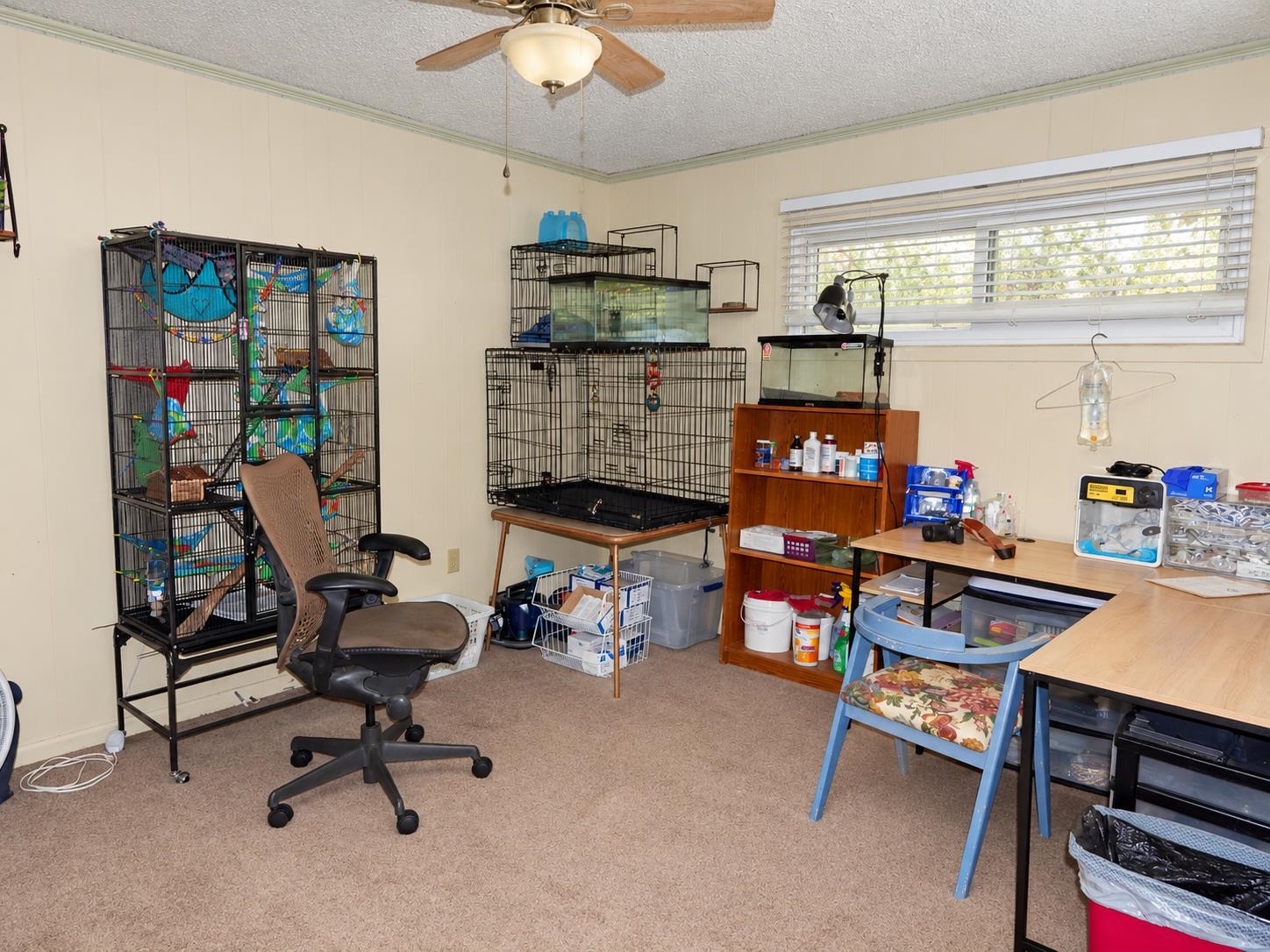2501 Woodland Bluff Drive Property Photo 24
