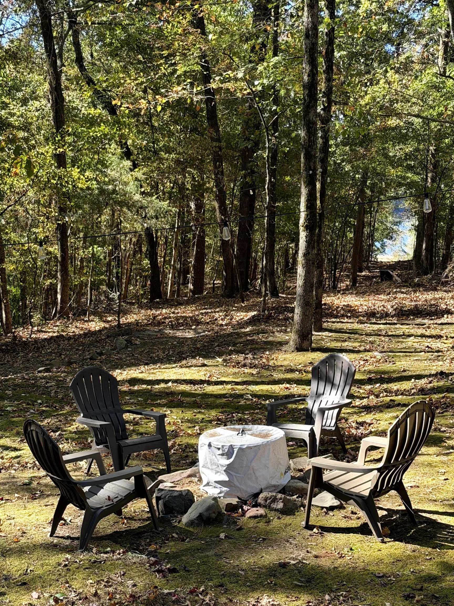 68 Bennett Cove Road Property Photo 19