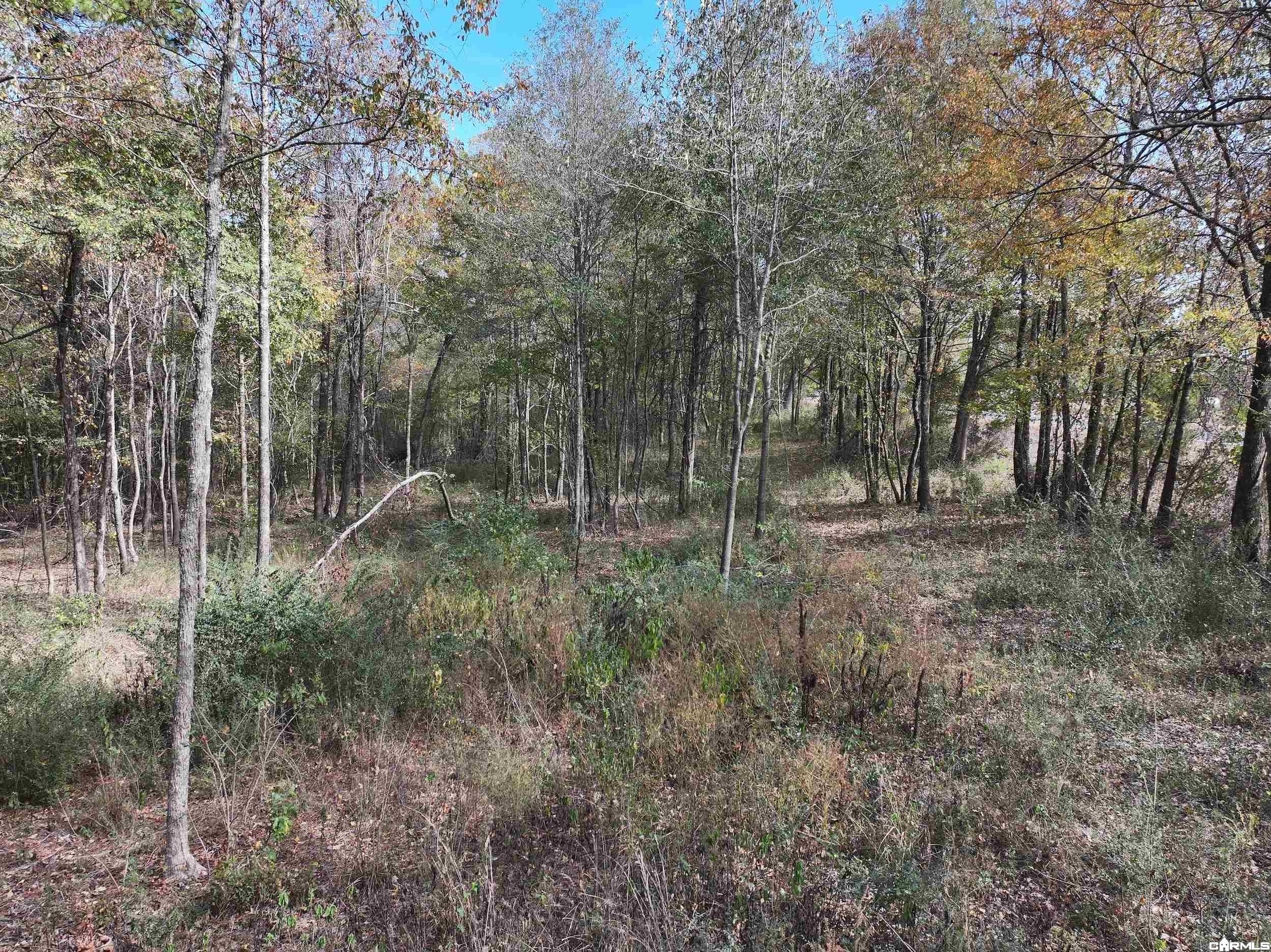 Tract 2 Hwy 84 Property Photo 1