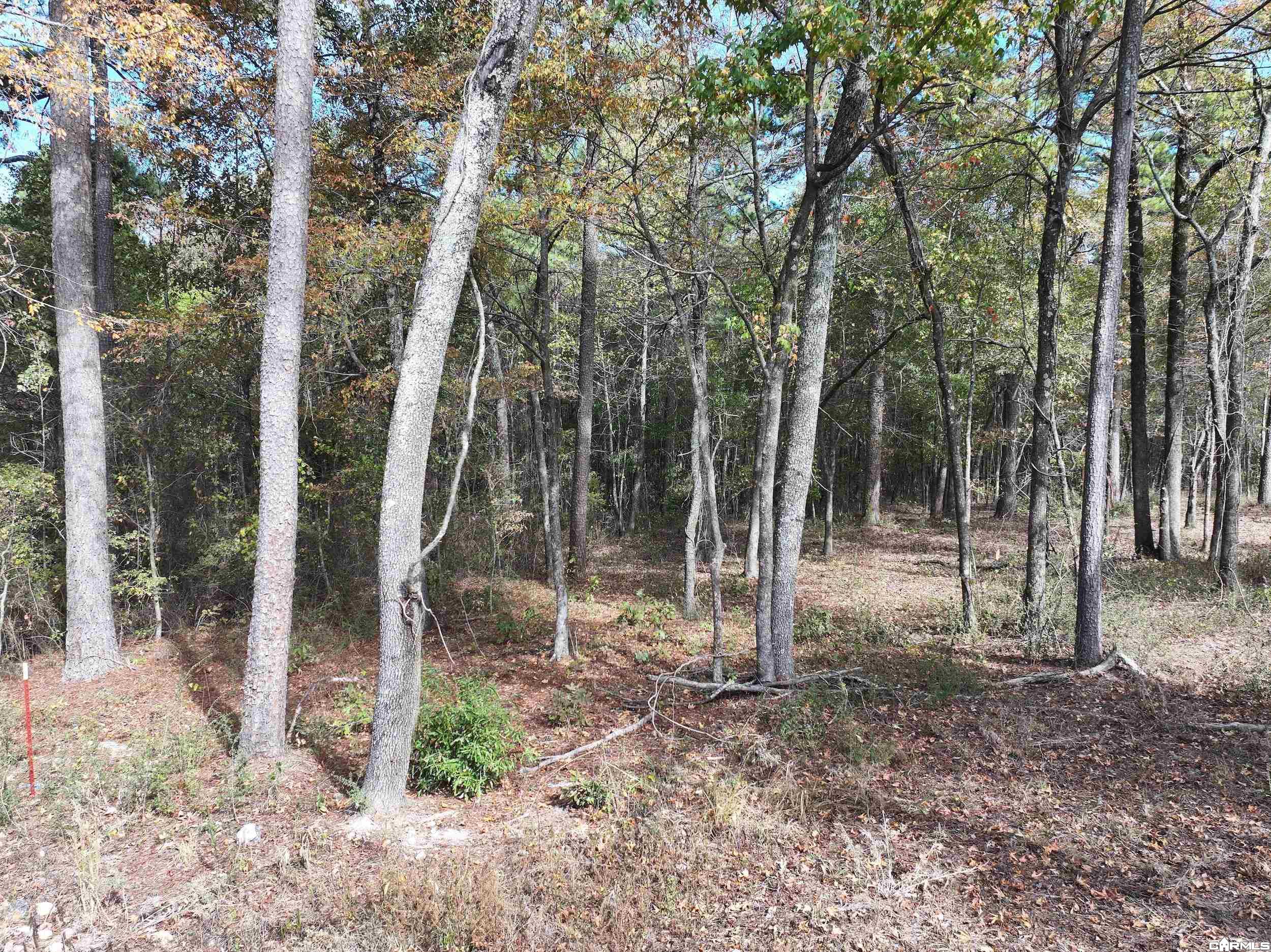 Tract 2 Hwy 84 Property Photo 2