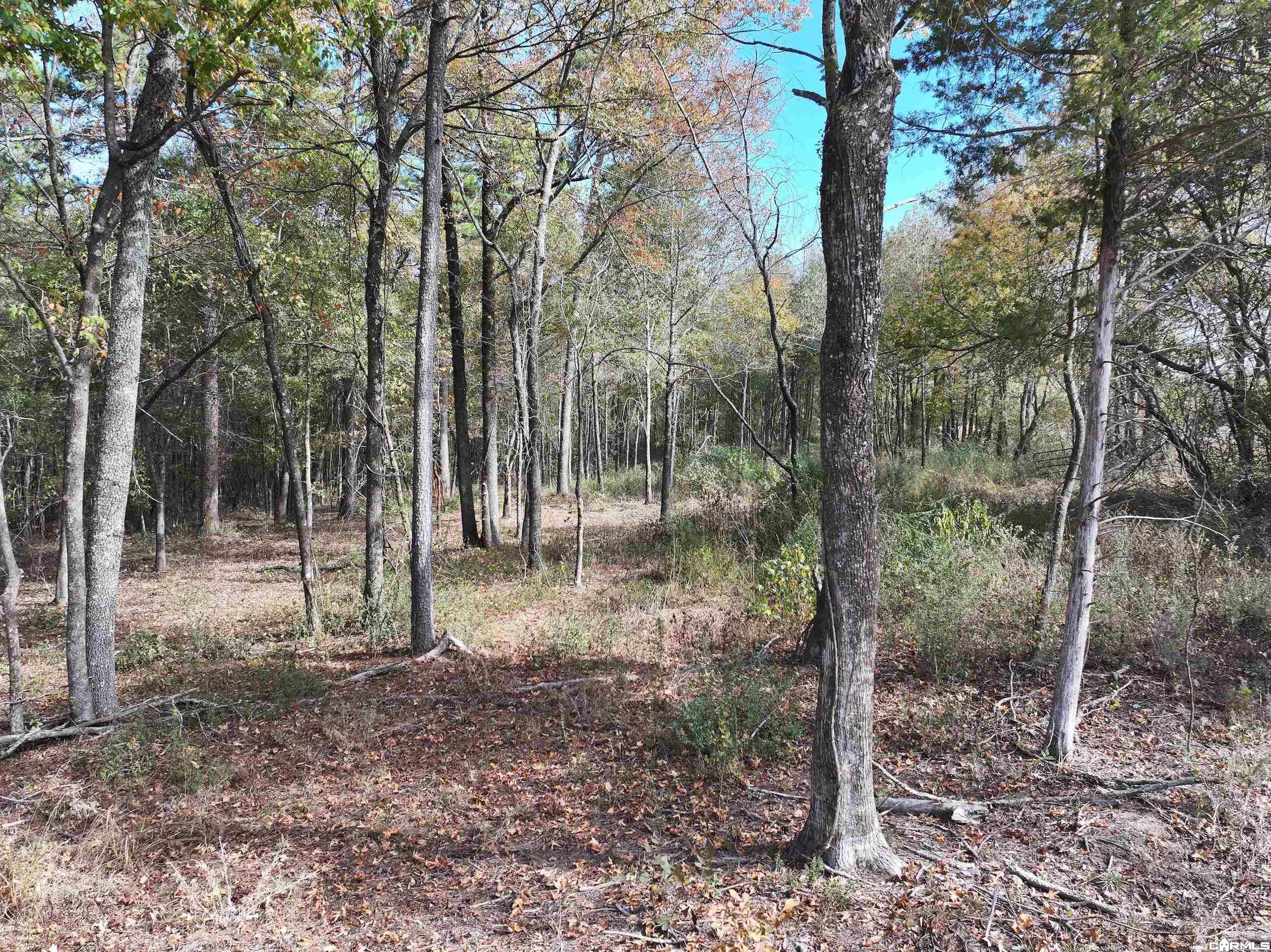 Tract 2 Hwy 84 Property Photo 3