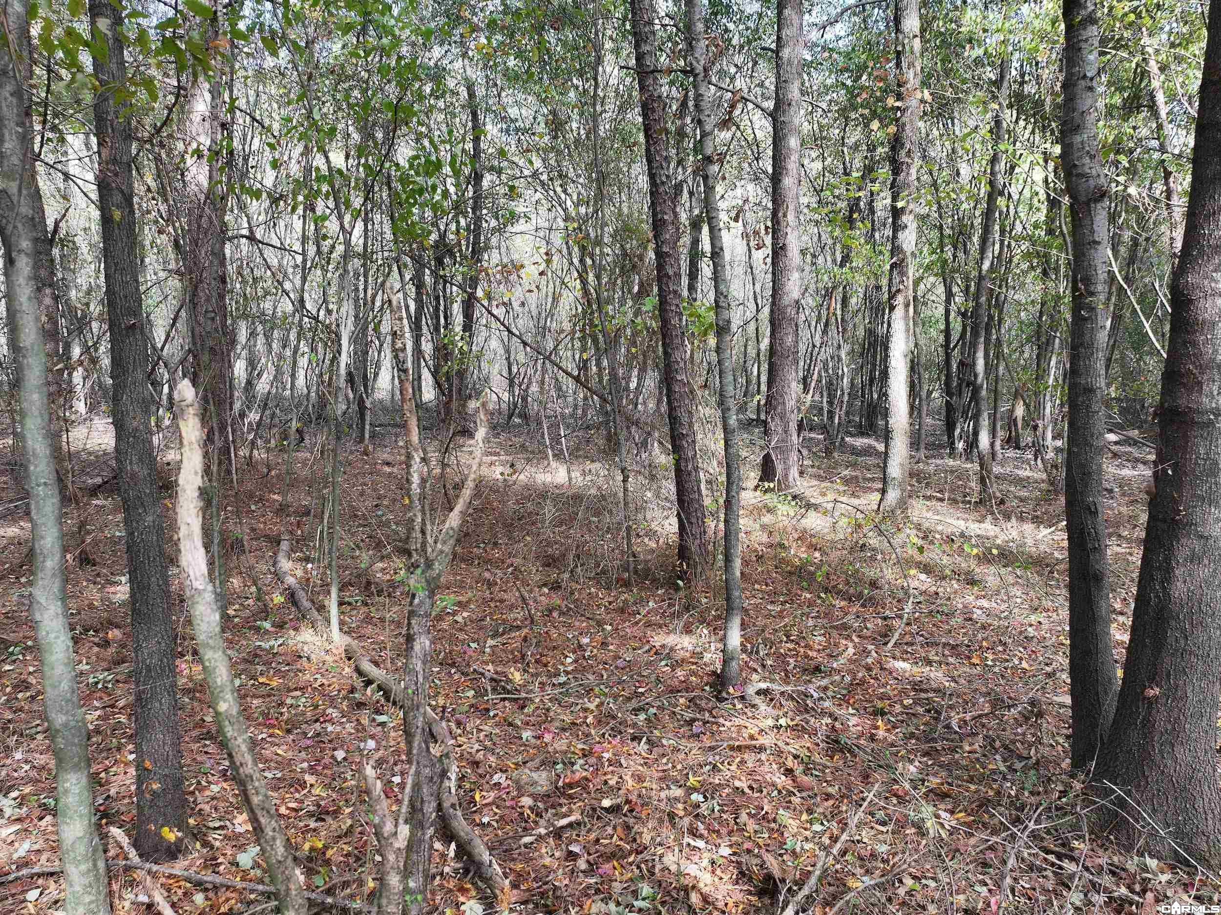 Tract 2 Hwy 84 Property Photo 7