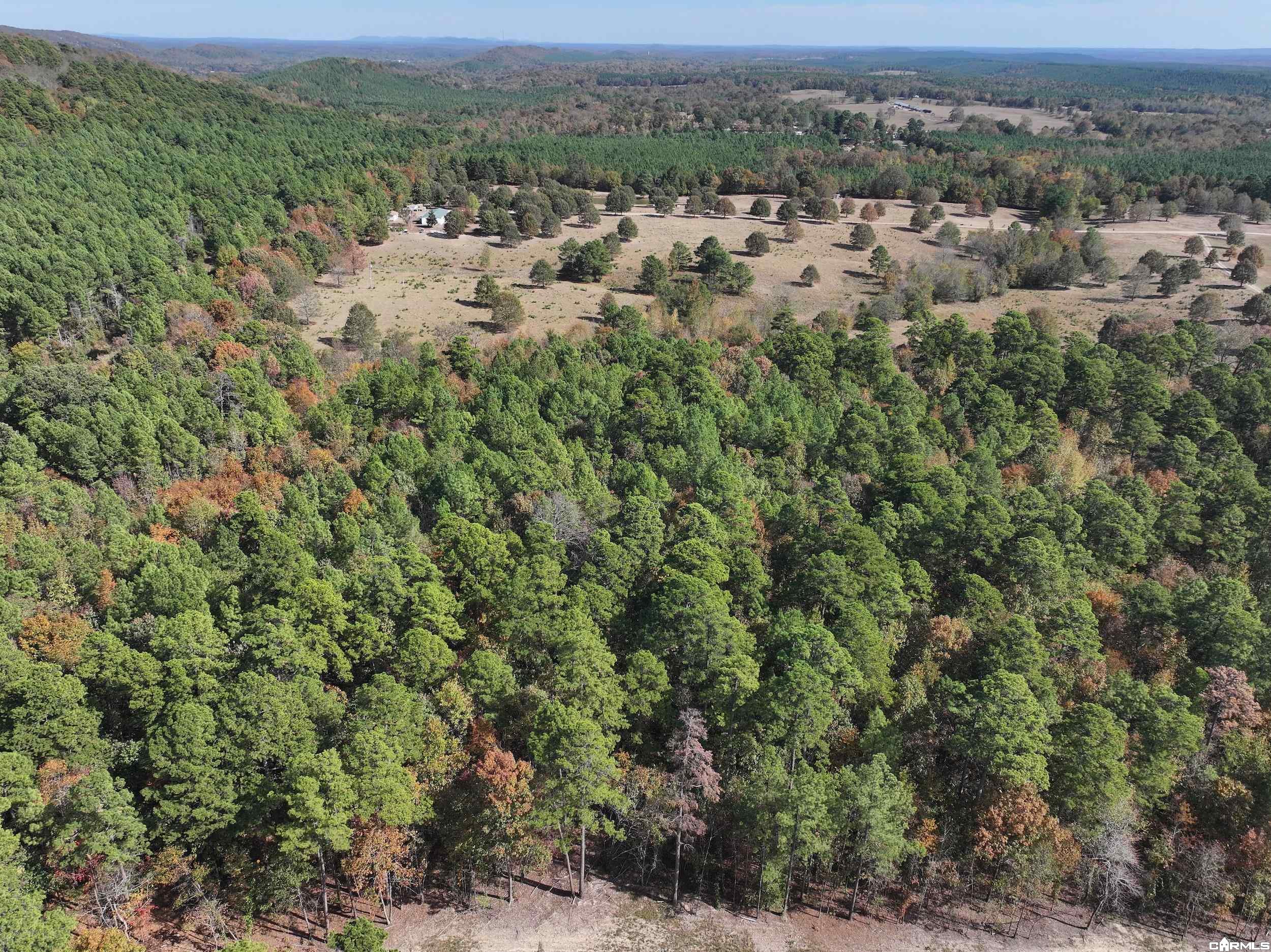 Tract 7 Hwy 84 Property Photo 1