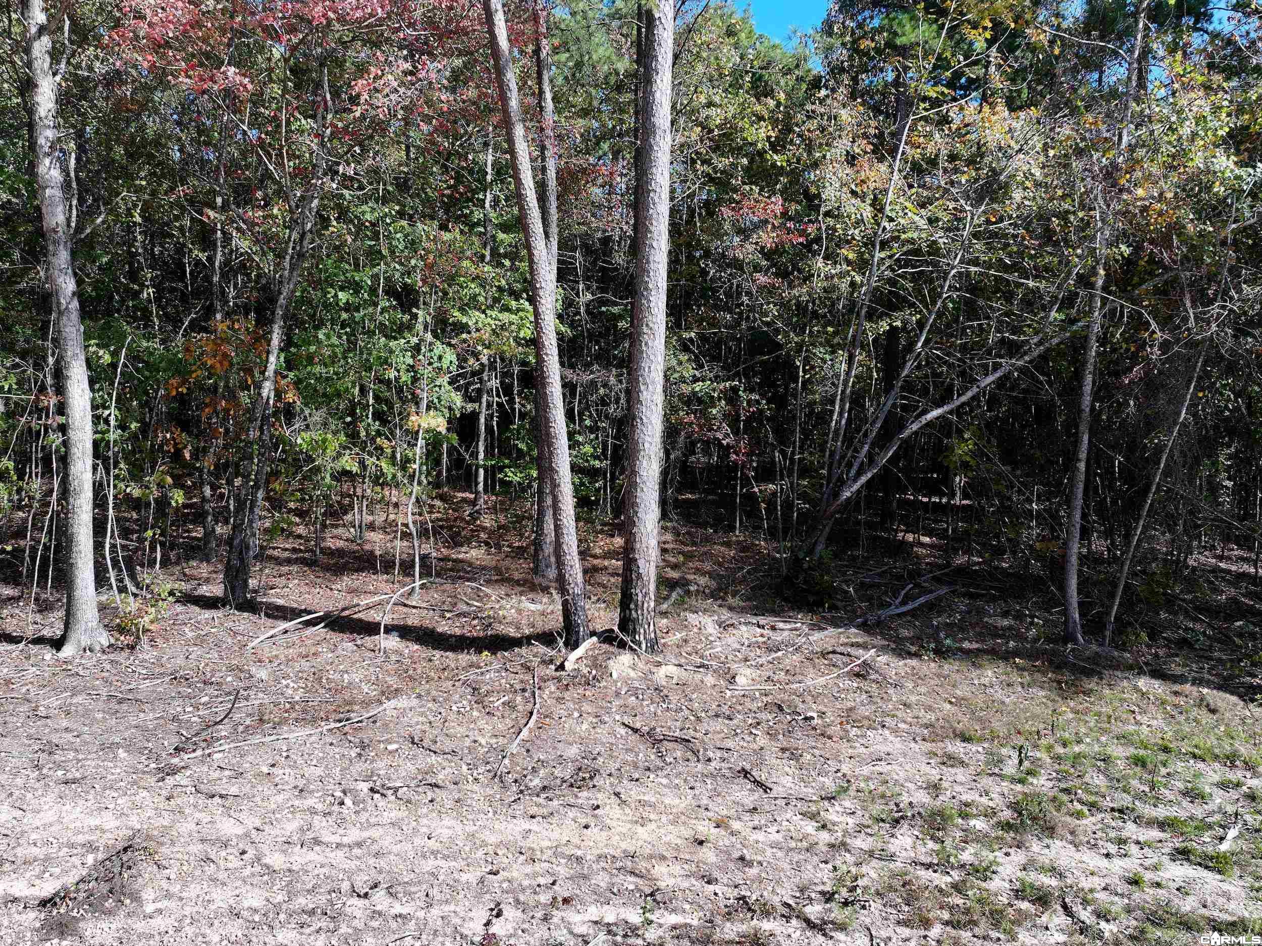 Tract 7 Hwy 84 Property Photo 2