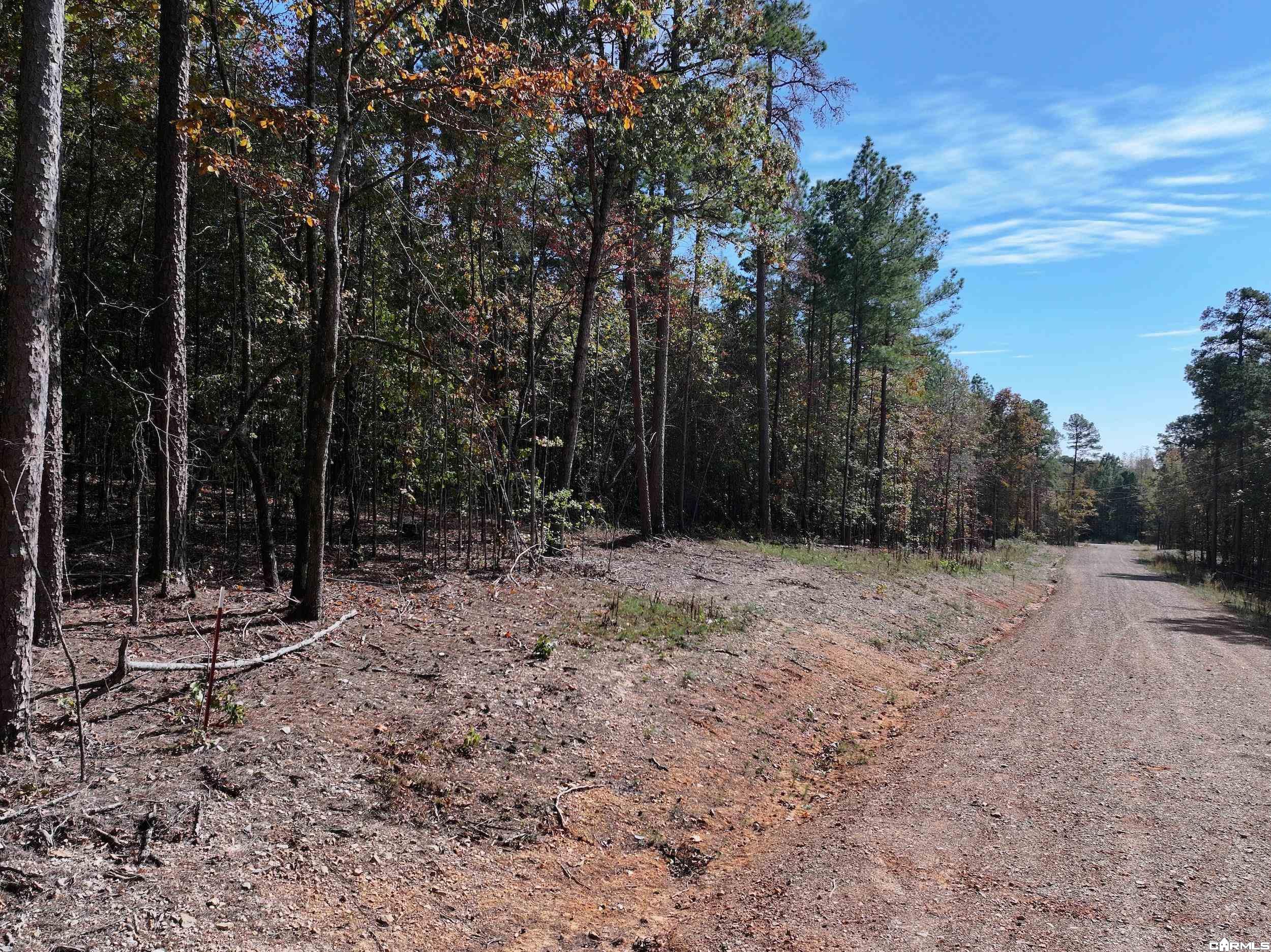 Tract 7 Hwy 84 Property Photo 3