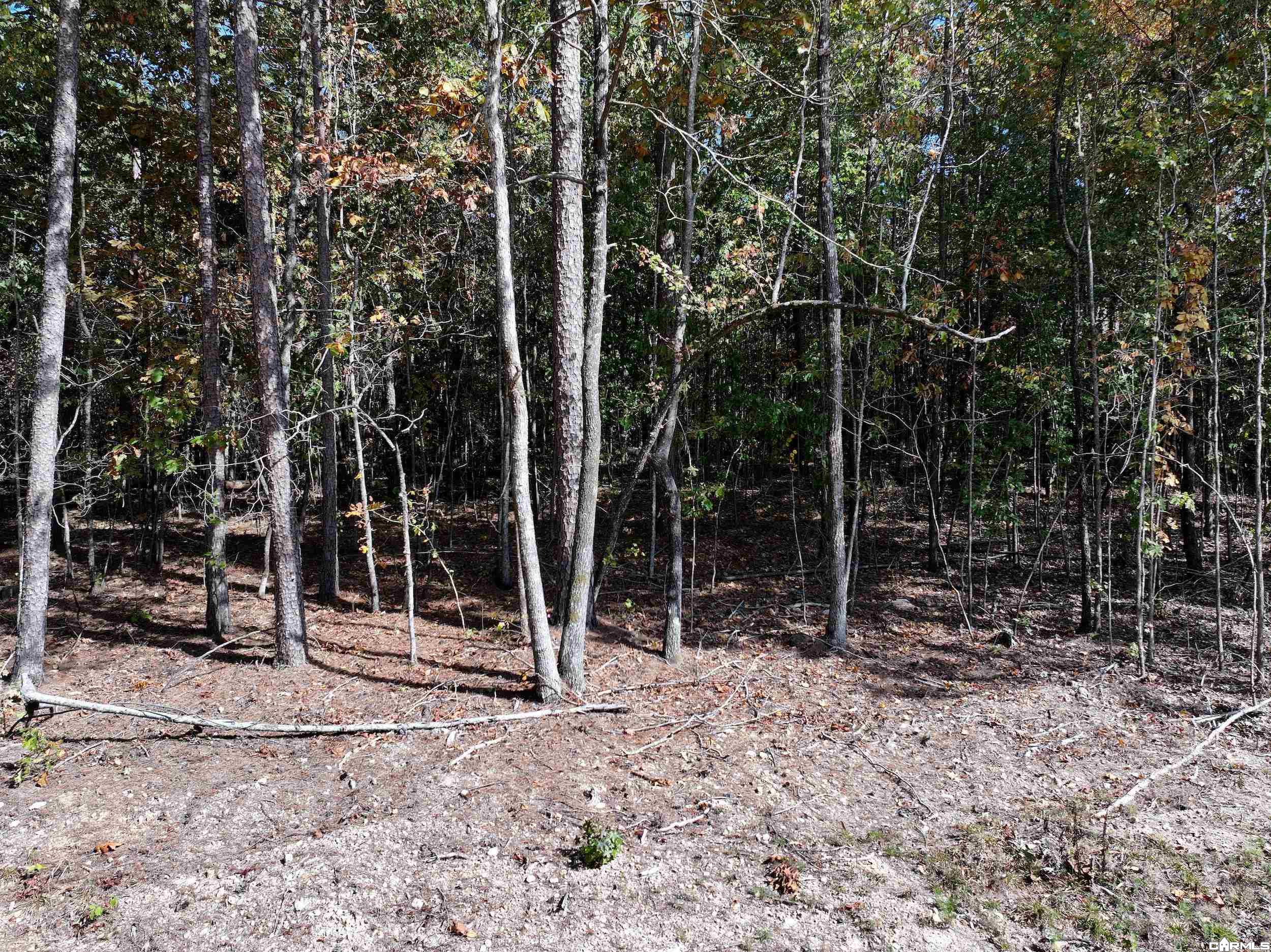 Tract 7 Hwy 84 Property Photo 5