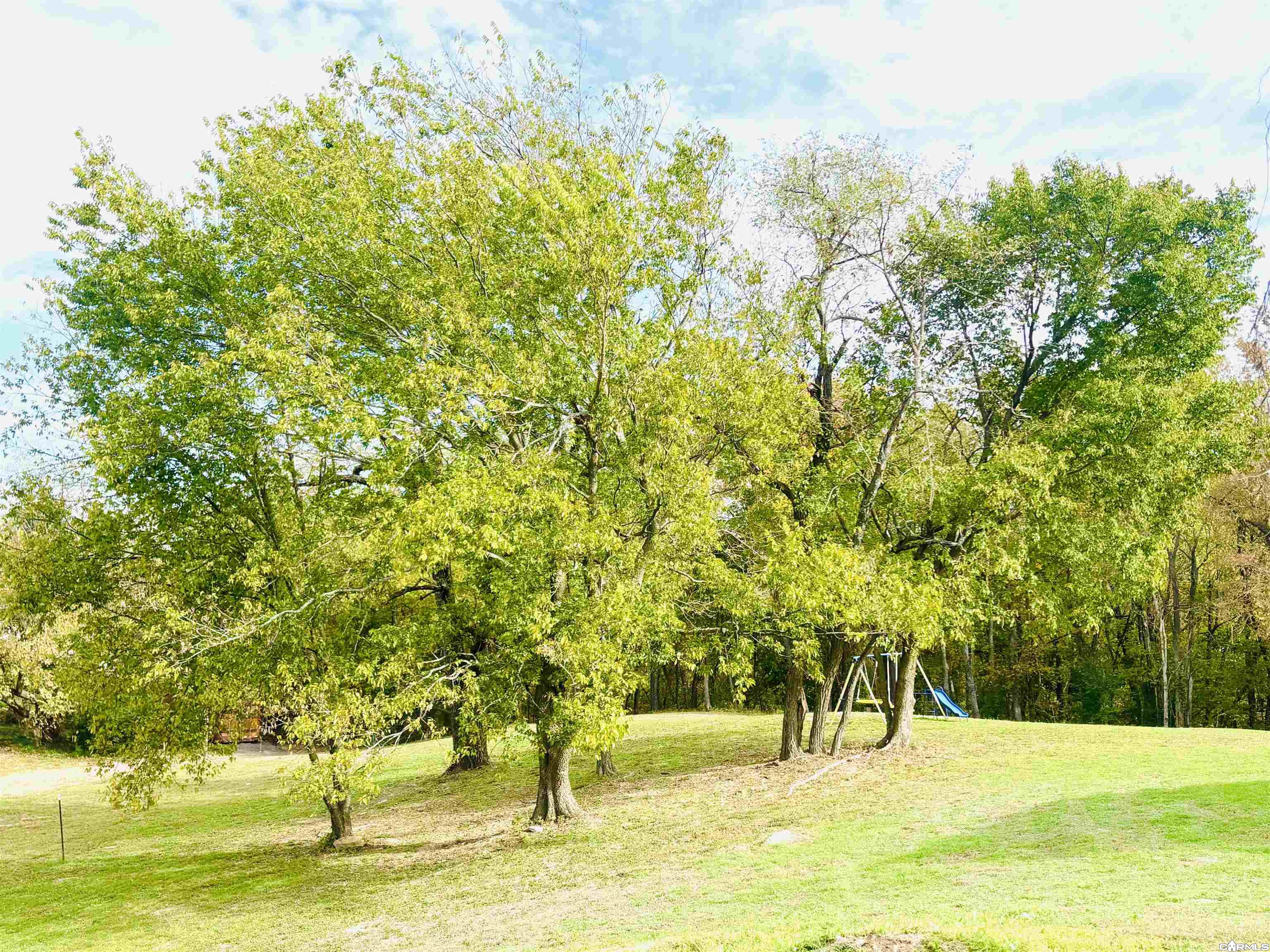 104 Blake Street Property Photo 40