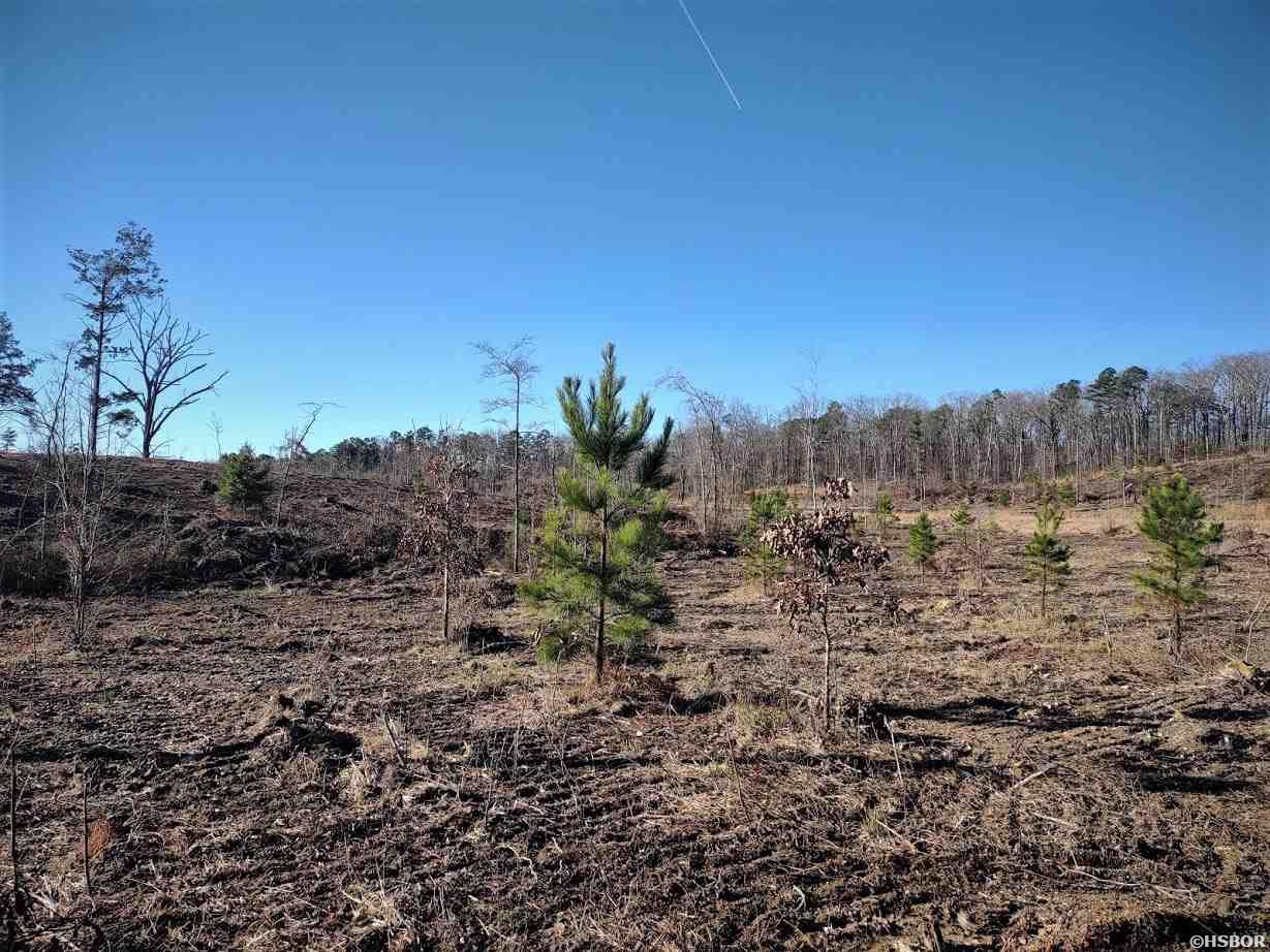 Lot 11 Shooting Star Property Photo 23