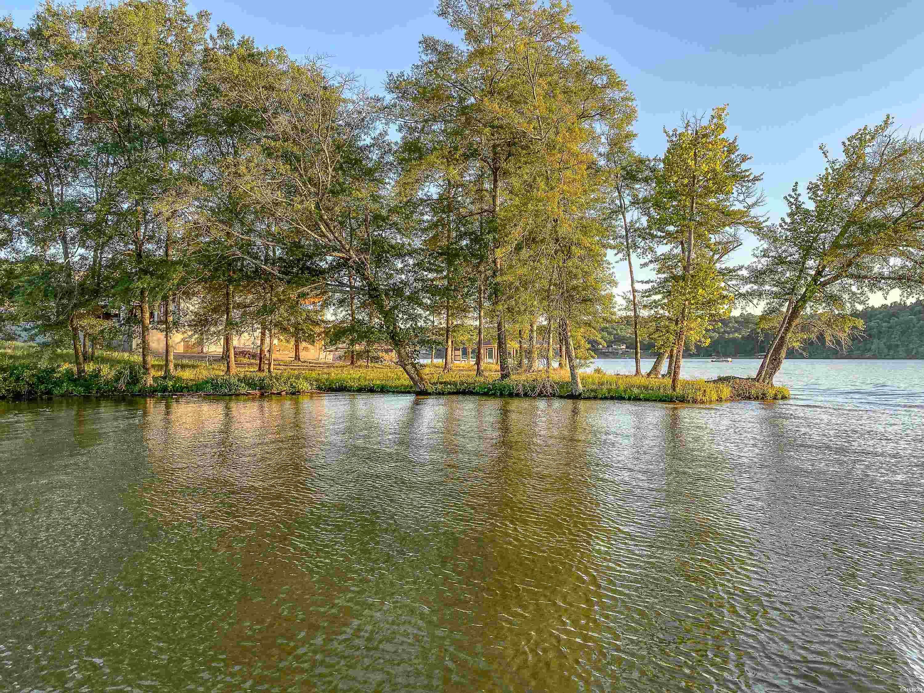 Lot 10 GIBBINS Trail Property Photo 1