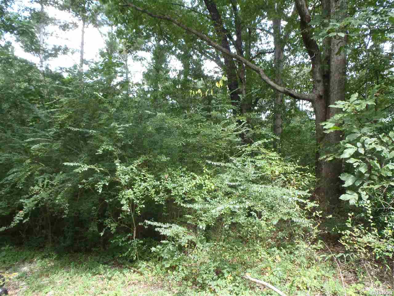 Xxx Lakeshore Drive Property Photo 9