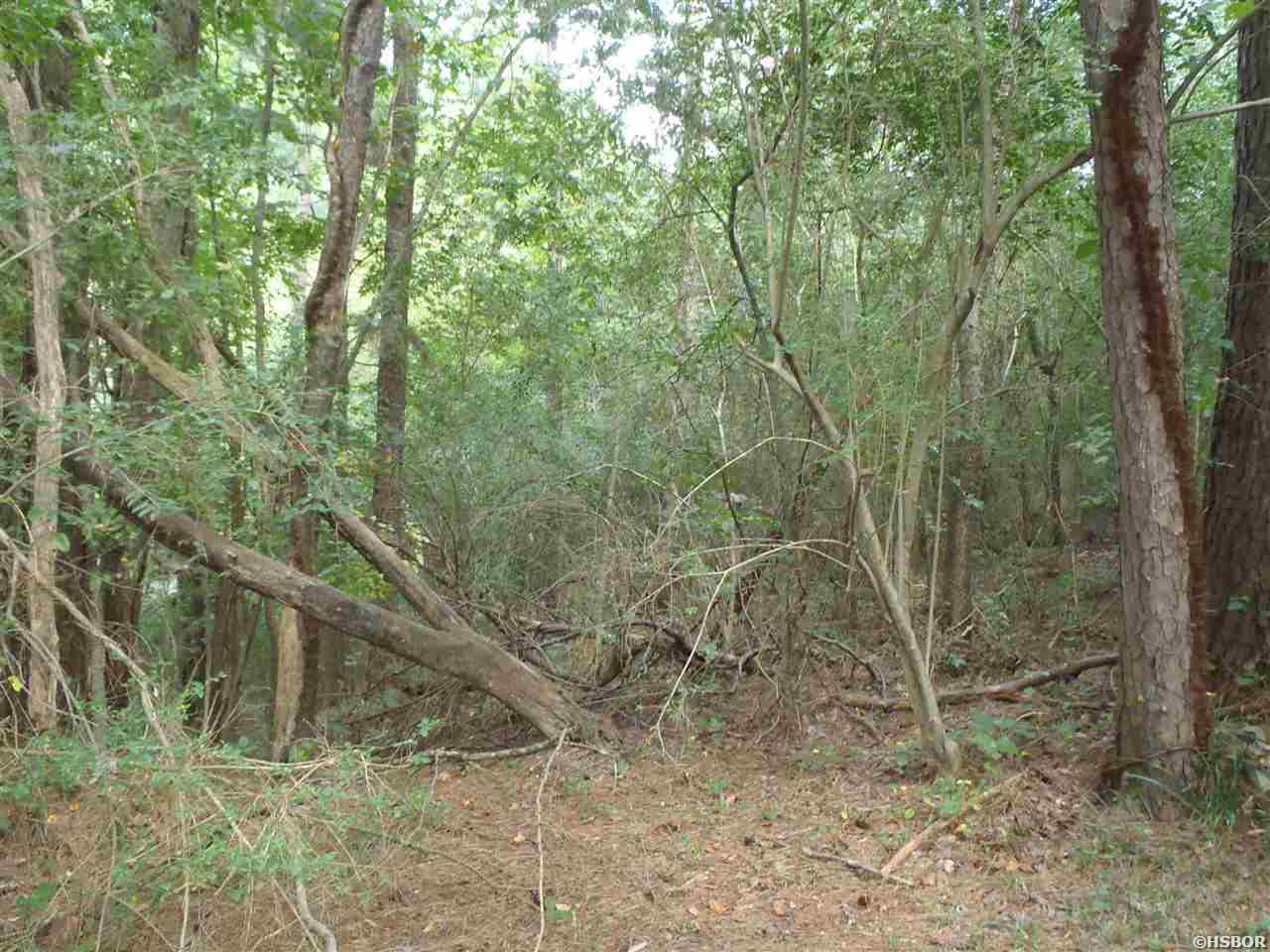 Xxx Lakeshore Drive Property Photo 10