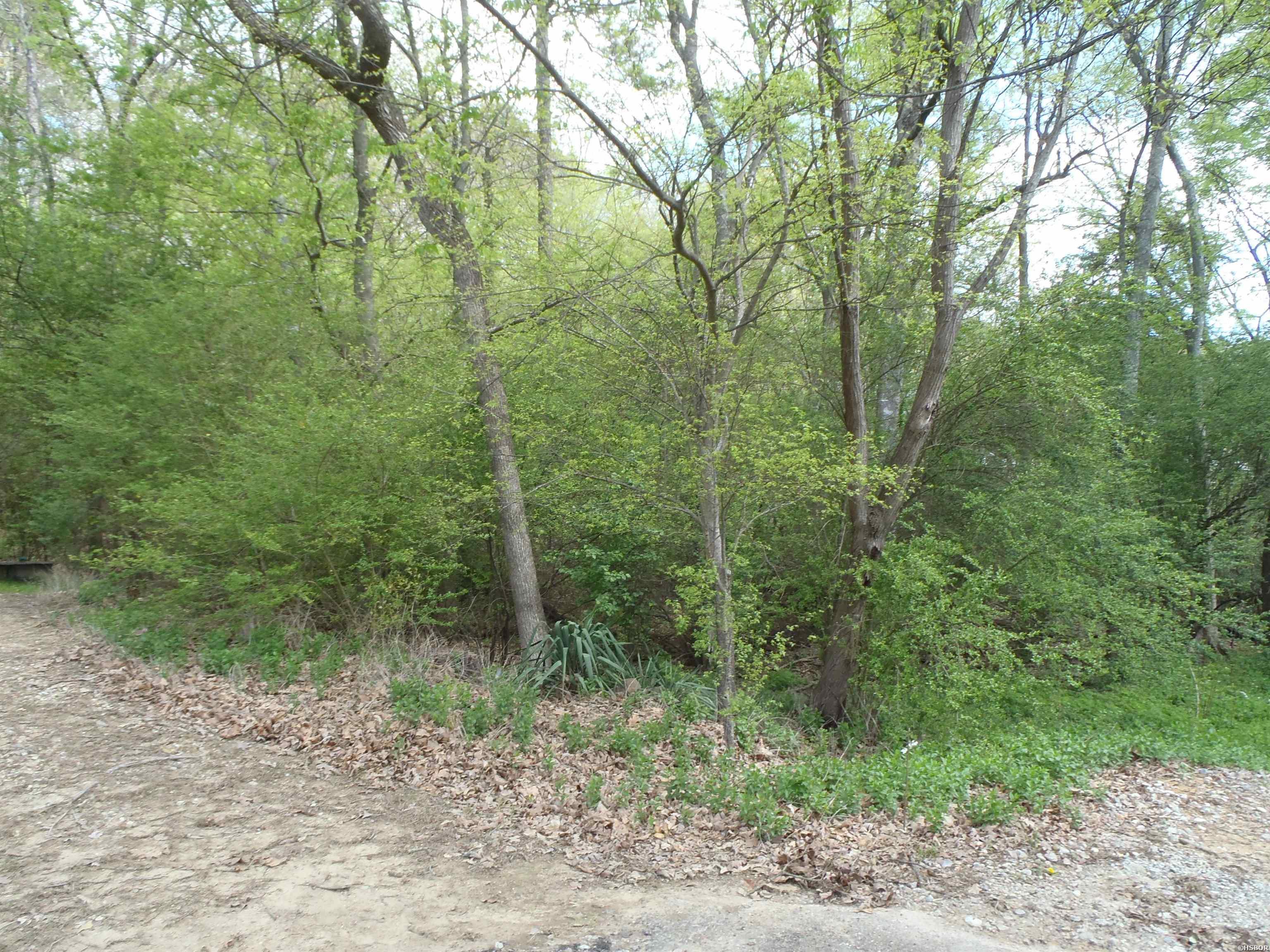 Xxx Yorkshire Drive Property Photo 2